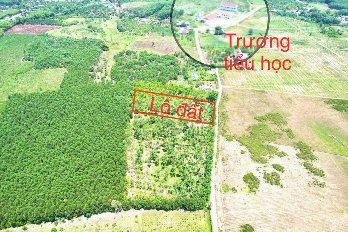 Bán đất Khánh Đông giá rẻ có thổ cư gần trường tiểu học 6