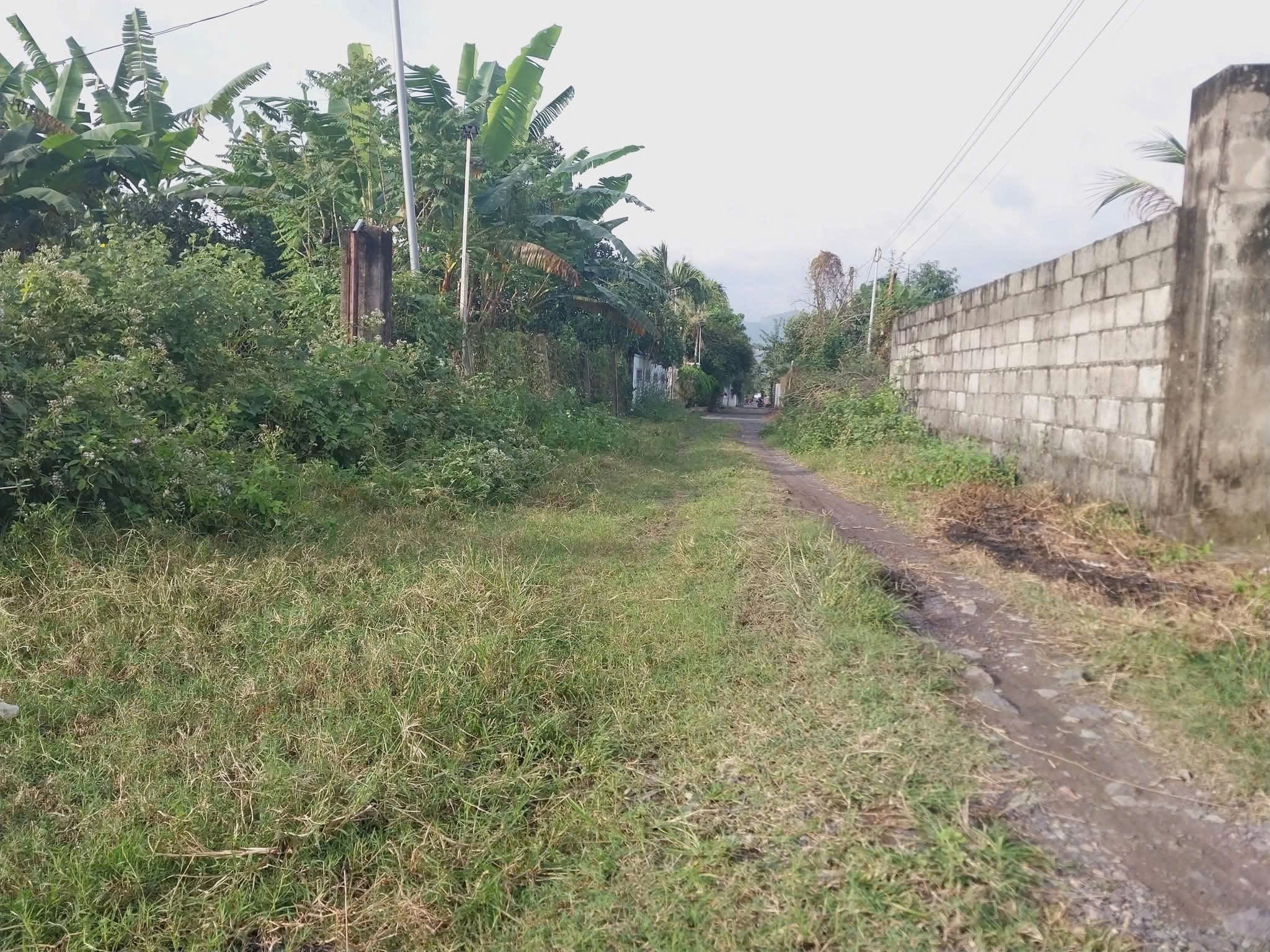 Bán đất Diên Phước giá rẻ đường Gò Mây cách Tỉnh Lộ 2 đúng 600m 3