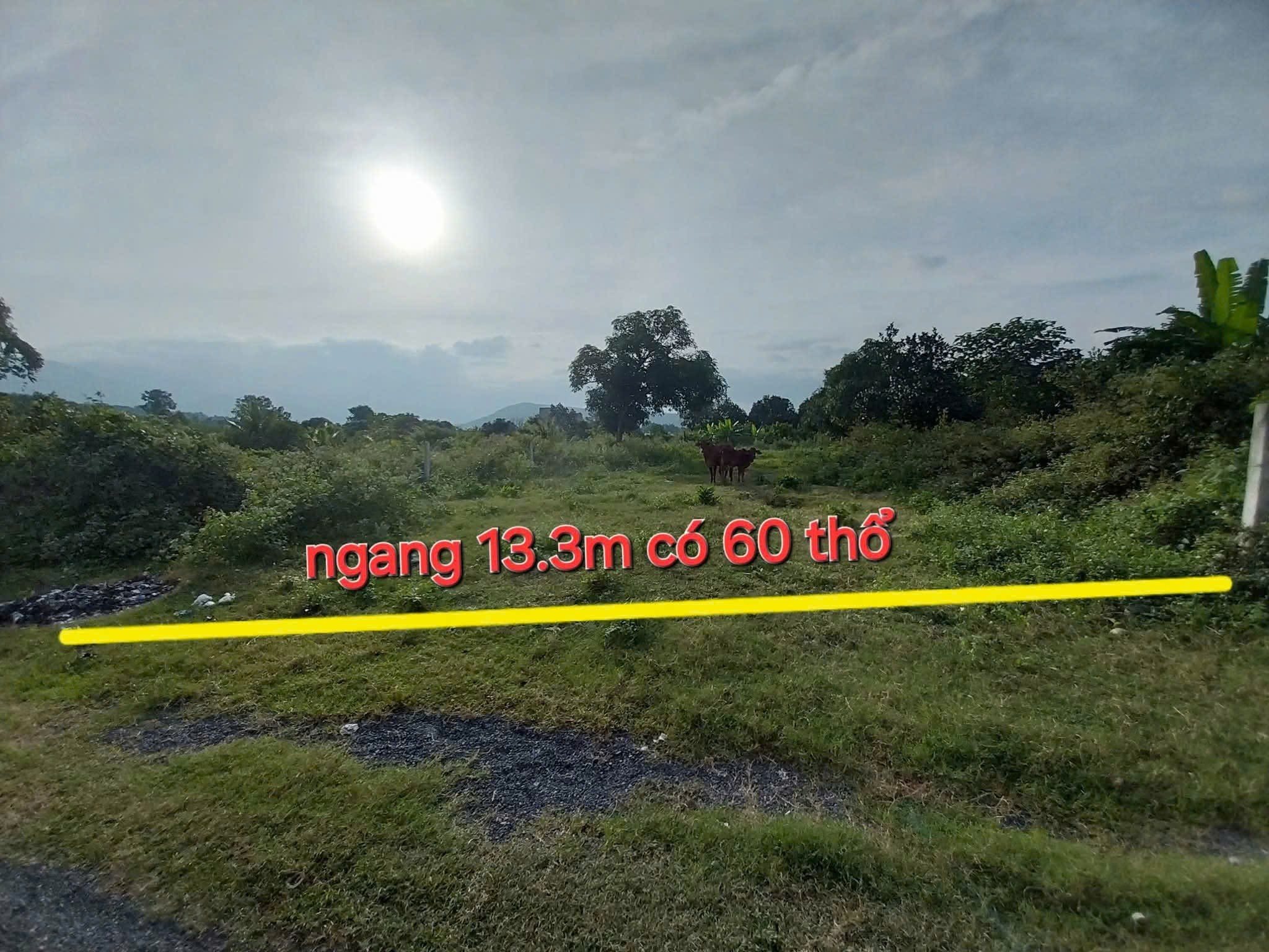 Bán đất Diên Phước giá rẻ đường Gò Mây cách Tỉnh Lộ 2 đúng 600m 4