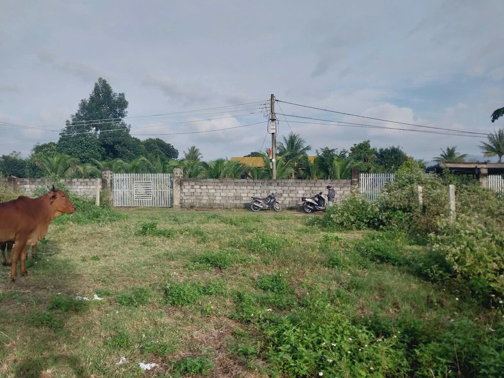 Bán đất Diên Phước giá rẻ đường Gò Mây cách Tỉnh Lộ 2 đúng 600m 5