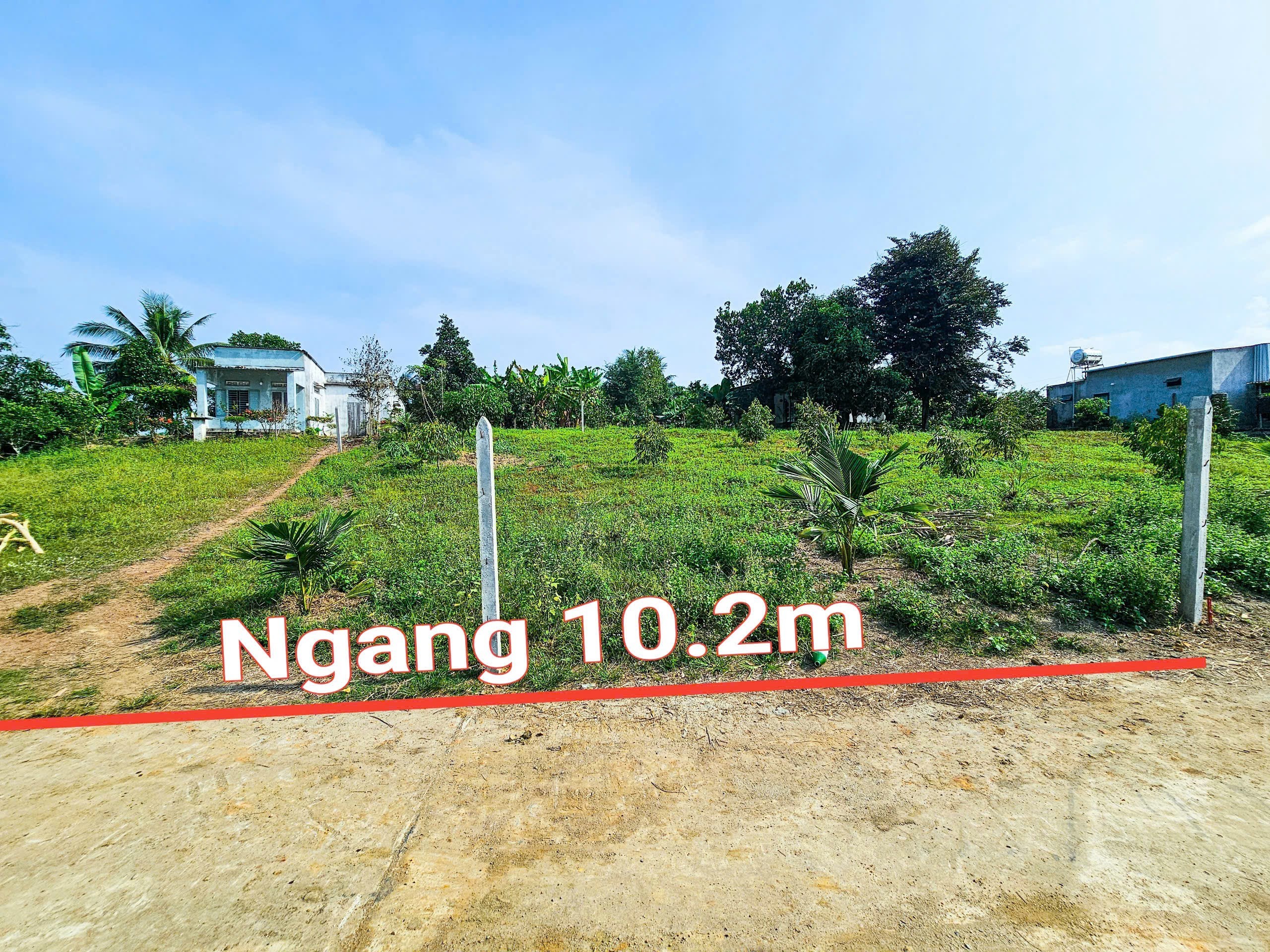 Bán đất Diên Xuân view ruộng mát mẻ có thổ cư - tặng vườn cây trái