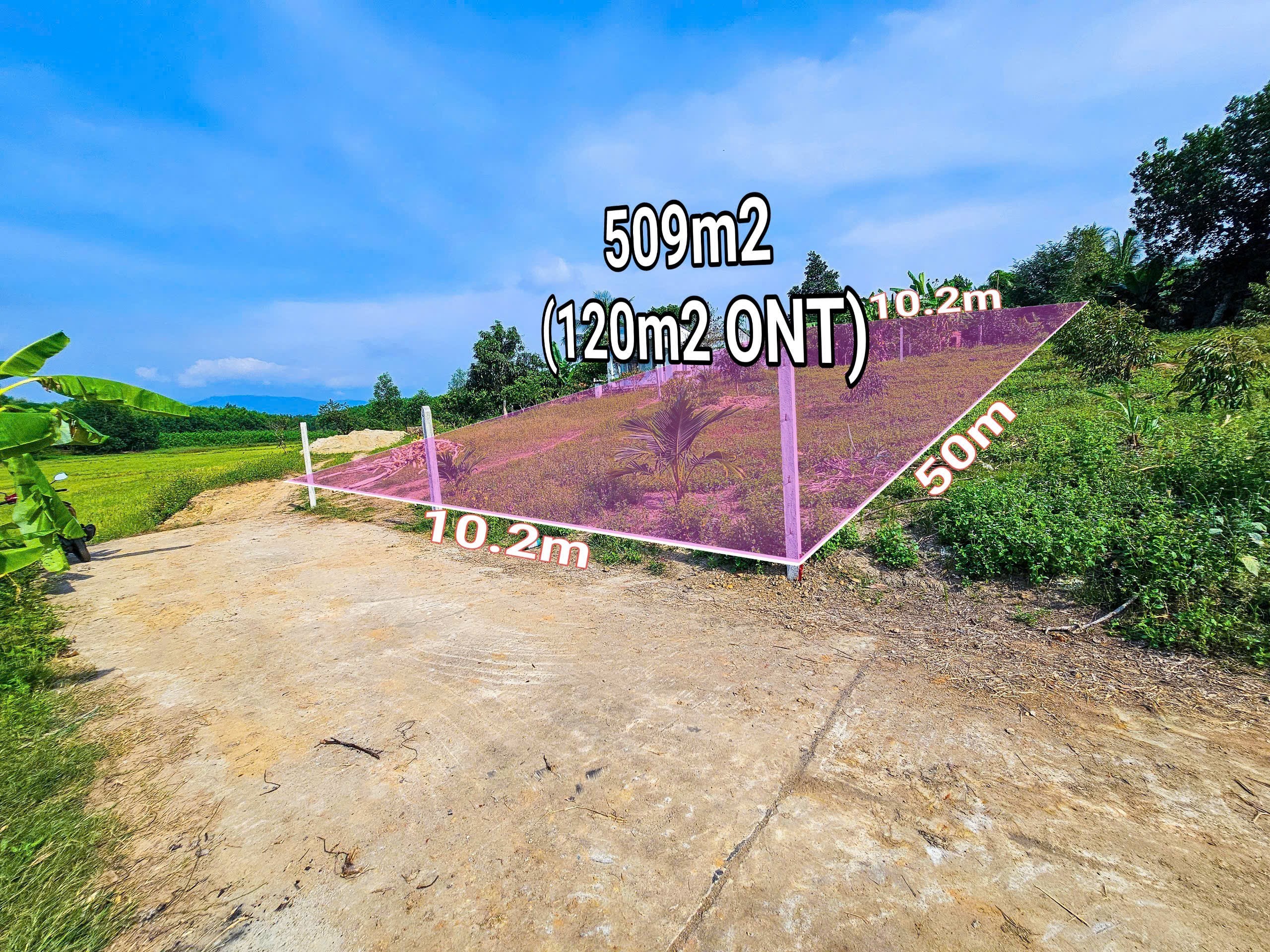 Bán đất Diên Xuân view ruộng mát mẻ có thổ cư - tặng vườn cây trái 2