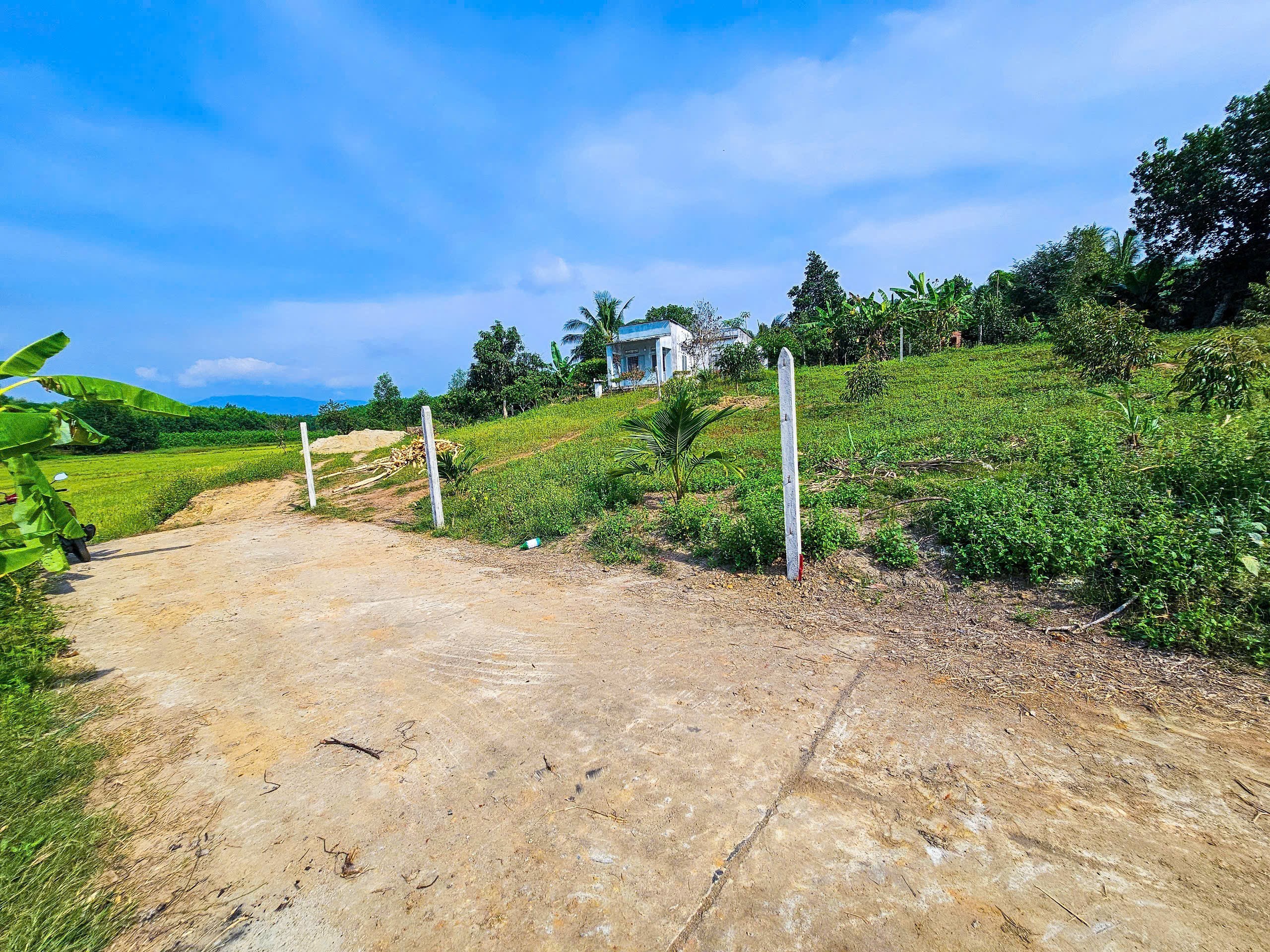 Bán đất Diên Xuân view ruộng mát mẻ có thổ cư - tặng vườn cây trái 3
