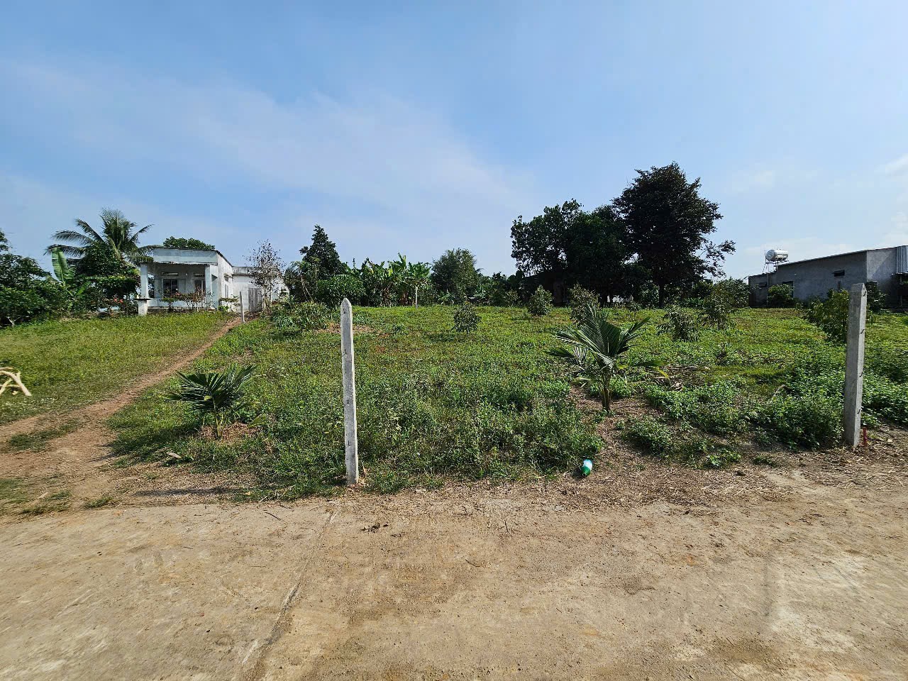 Bán đất Diên Xuân view ruộng mát mẻ có thổ cư - tặng vườn cây trái 5