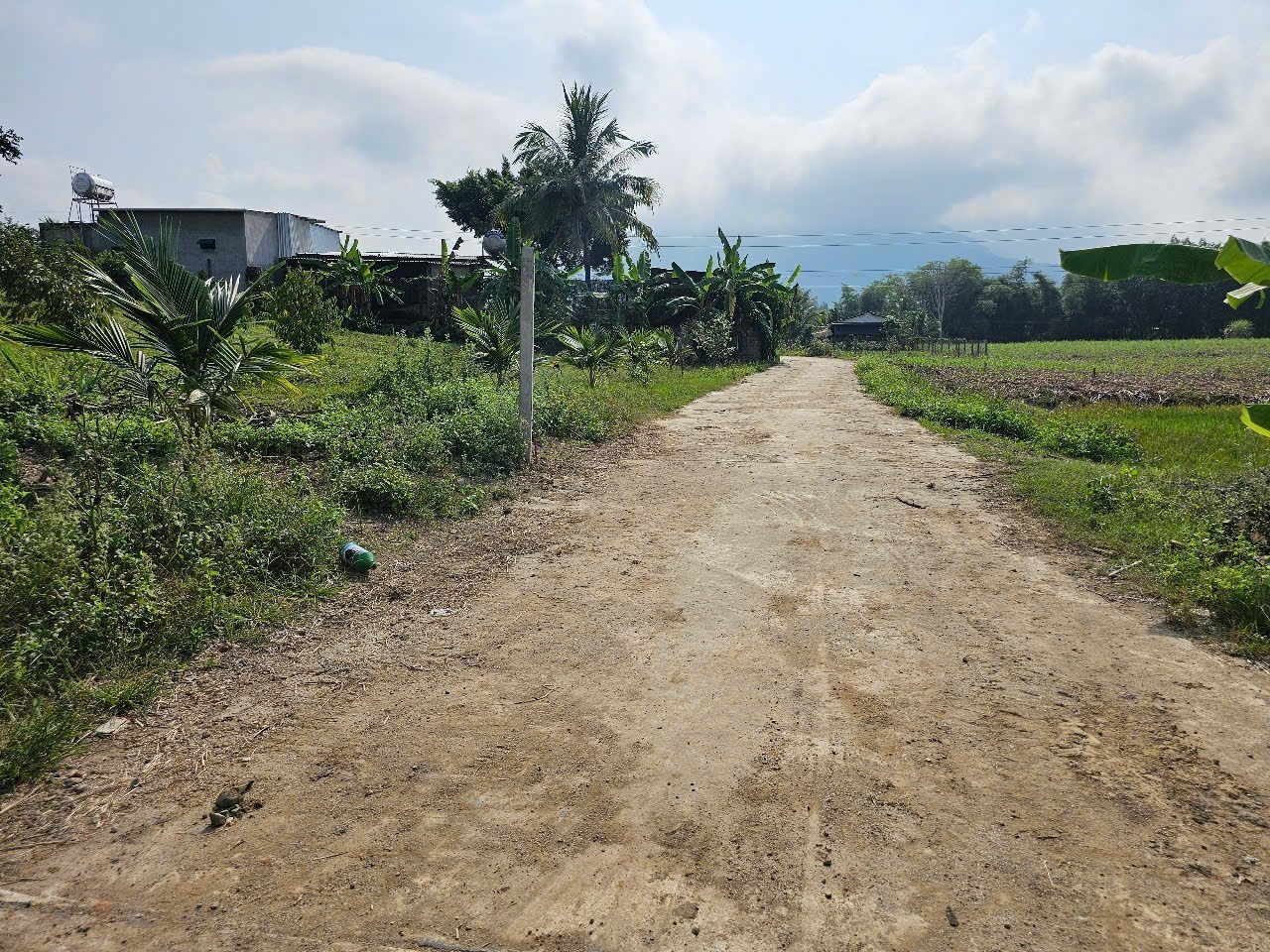 Bán đất Diên Xuân view ruộng mát mẻ có thổ cư - tặng vườn cây trái 7