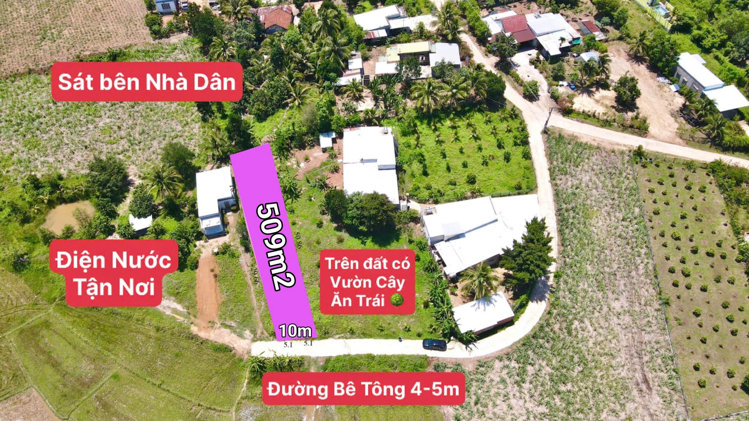 Bán đất Diên Xuân view ruộng mát mẻ có thổ cư - tặng vườn cây trái 8