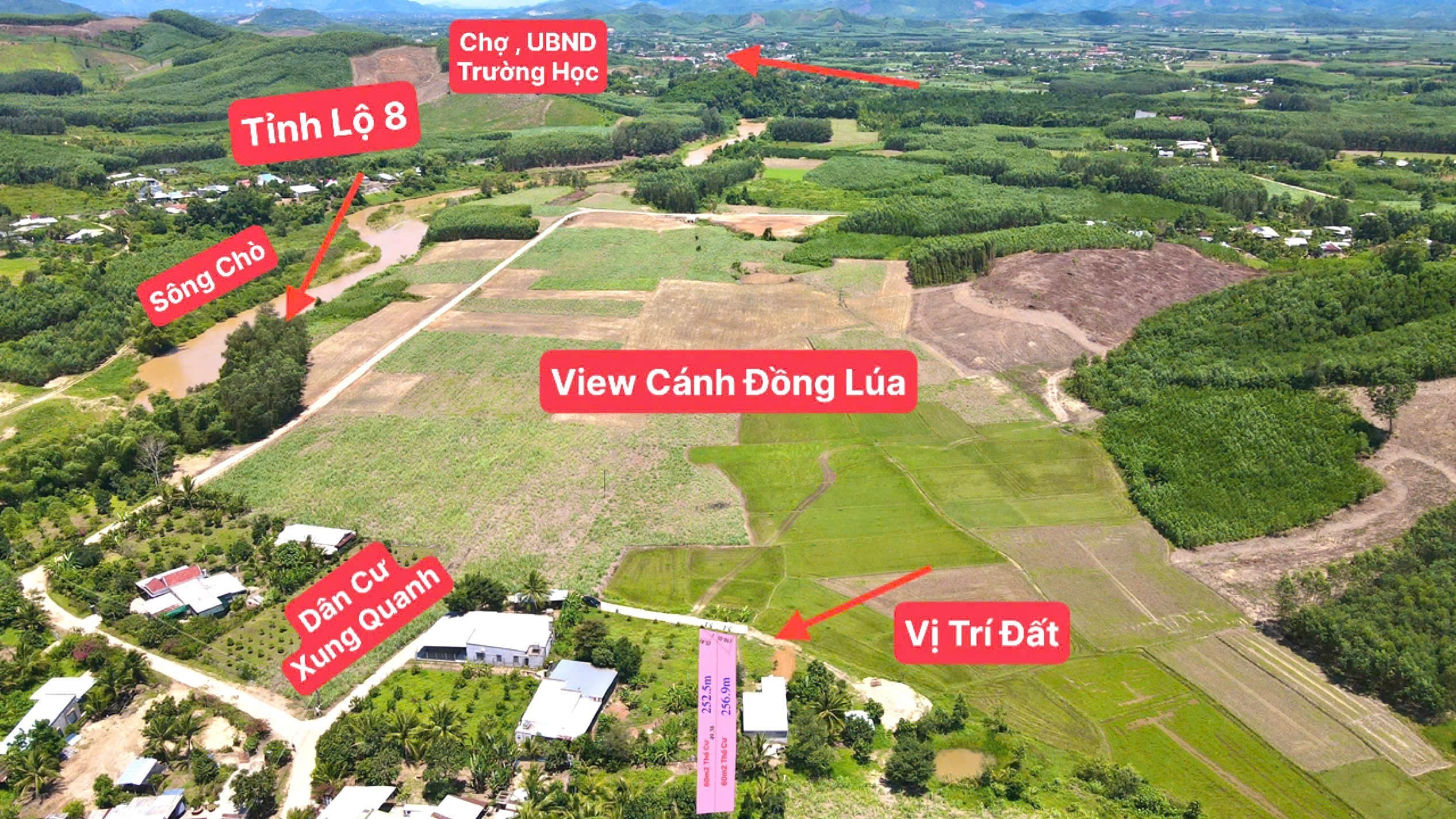 Bán đất Diên Xuân view ruộng mát mẻ có thổ cư - tặng vườn cây trái 9