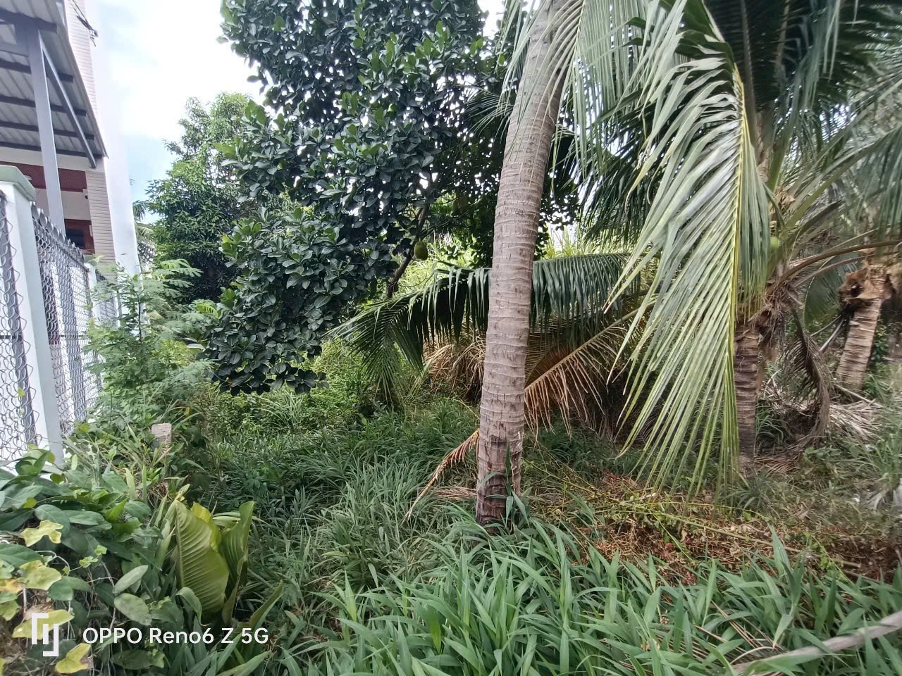 Bán đất thị trấn Diên Khánh sát bên bờ kè Sông Cái - đường thông 5