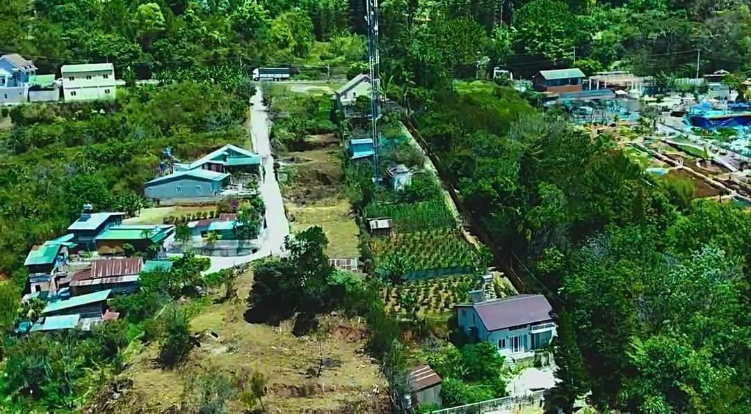 Cần Bán Gấp Đất rộng view đẹp đường Mimoza, Đà Lạt 6296m2 giá 13.5 tỷ