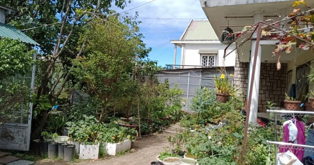 HẠ GIÁ GẤP BÁN NHÀ ĐẤT RỘNG ĐƯỜNG NGUYỄN DU, P9, ĐÀ LẠT 1000m2 2