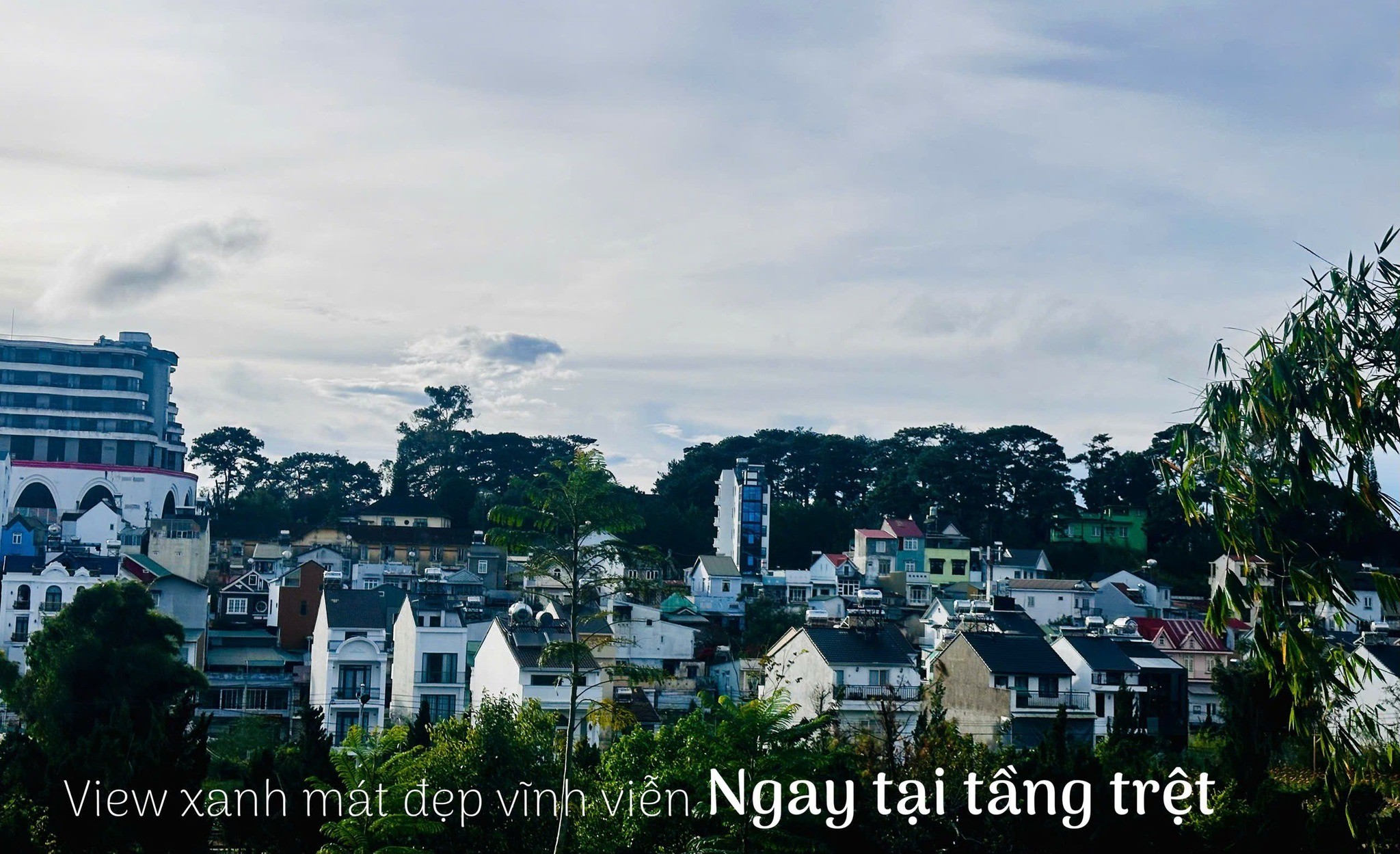 HẠ GIÁ GẤP BÁN NHÀ ĐẤT RỘNG ĐƯỜNG NGUYỄN DU, P9, ĐÀ LẠT 1000m2 3