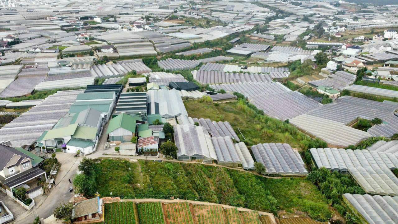 Bán 1101m2 ĐẤT MẶT TIỀN đường Trịnh Hoài Đức - Nam Hồ, P11, Đà Lạt, VIEW ĐẸP 2