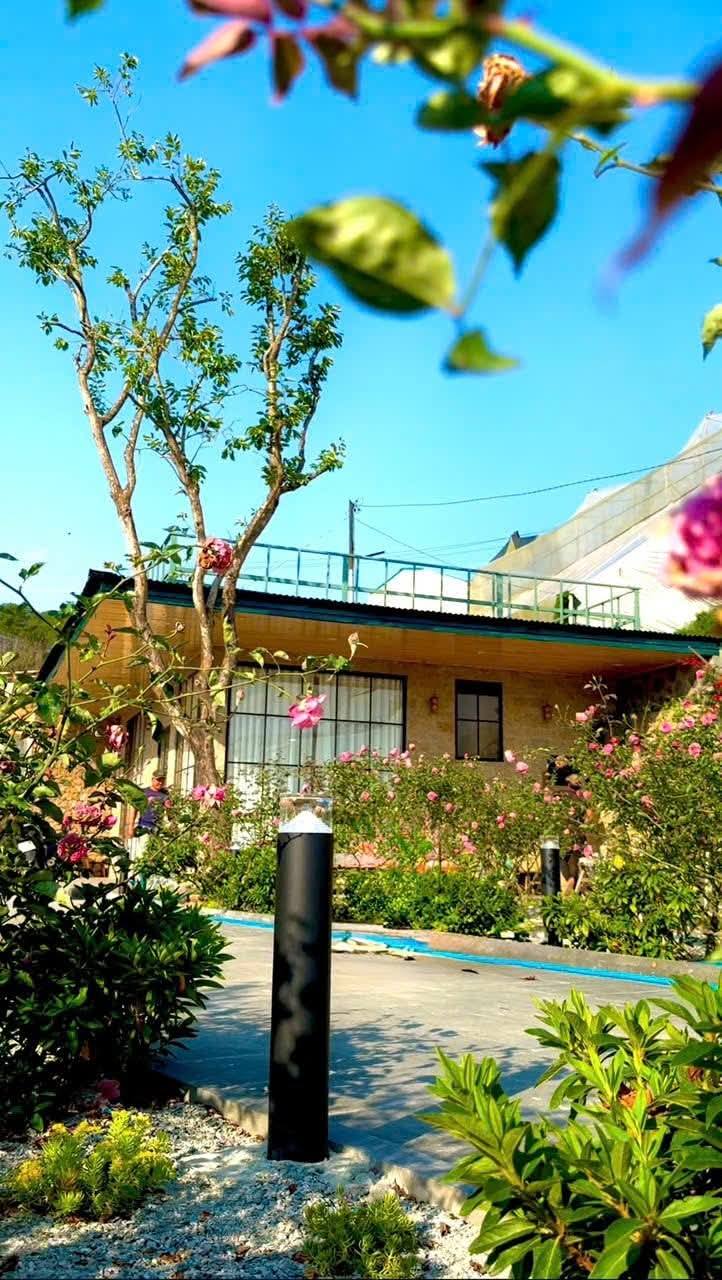 Cần Bán gấp Căn Nhà Nghỉ Dưỡng view đẹp P.11, Đà Lạt 500m2 3