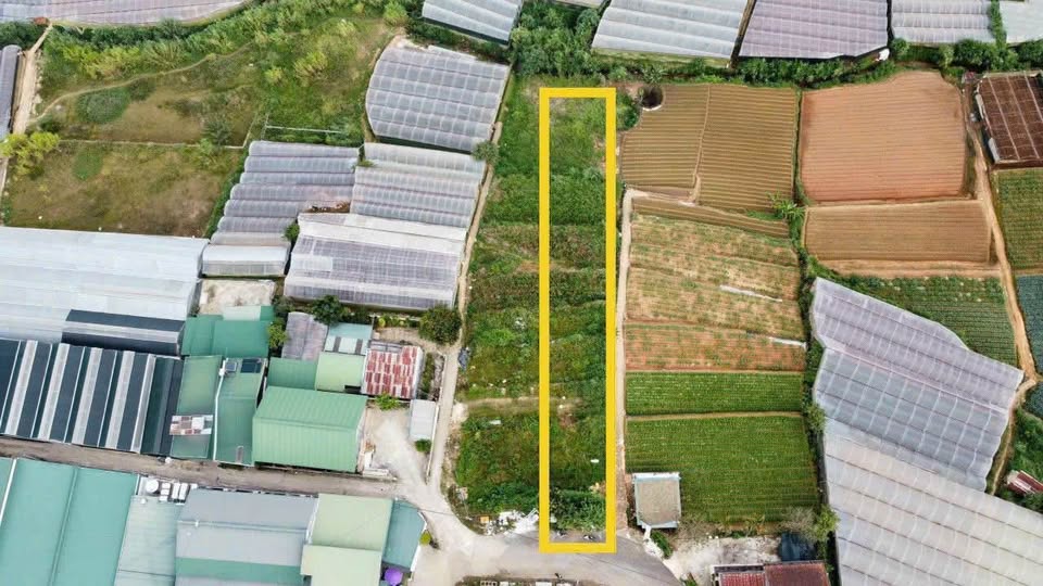 Bán 1101m2 ĐẤT MẶT TIỀN đường Trịnh Hoài Đức - Nam Hồ, P11, Đà Lạt, VIEW ĐẸP 3