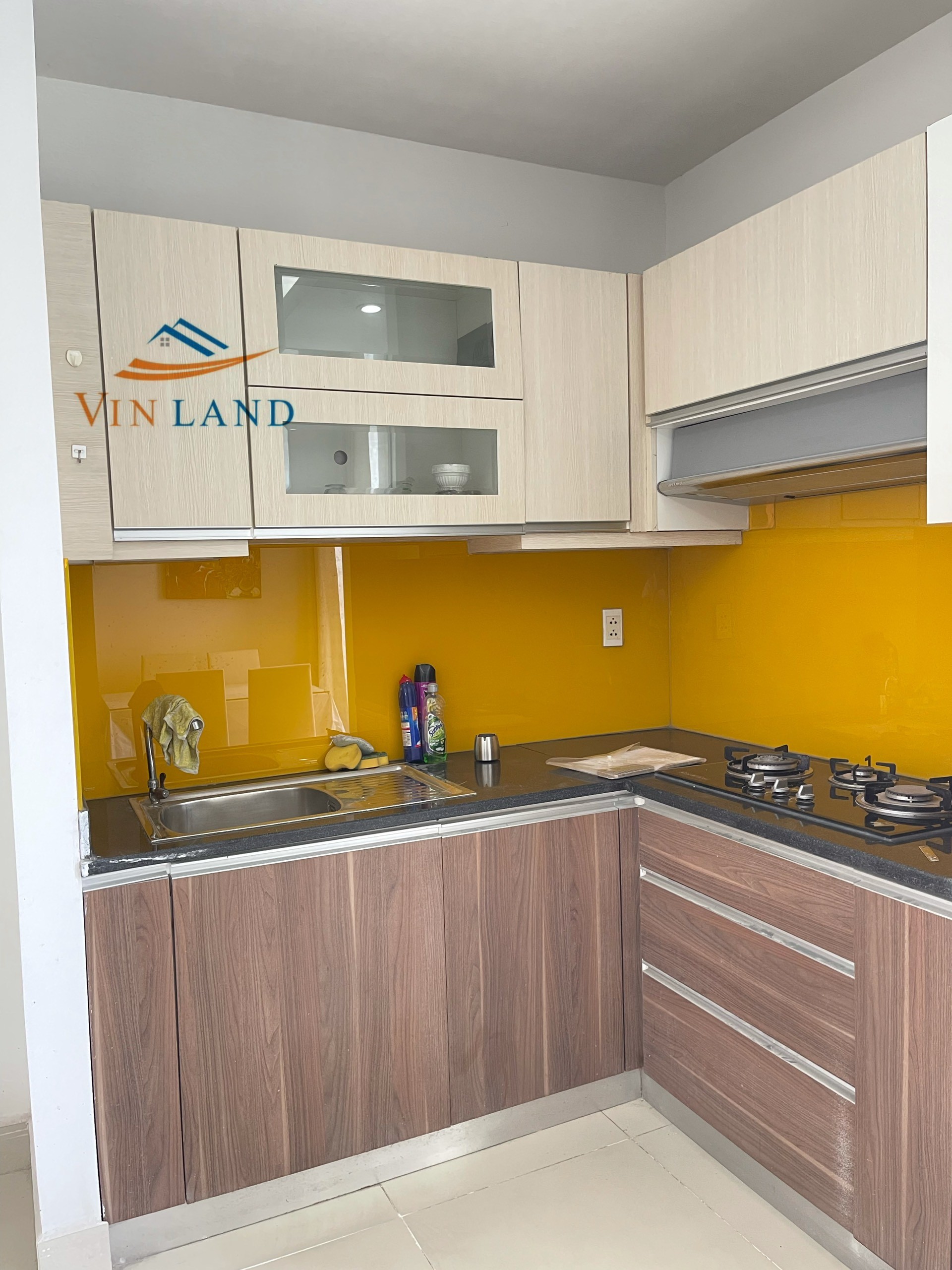 Cho thuê căn hộ 2pn đầy đủ nội thất tại Pegasus Plaza