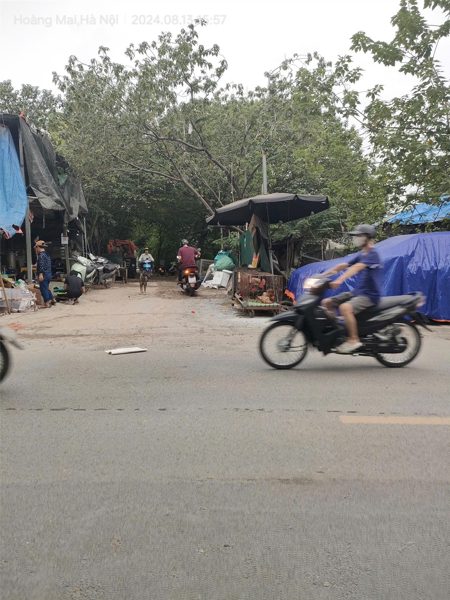 Nhà xưởng sắt hình, tôn lạnh 444m, mặt tiền 14m, 1.75 tỷ Hiệp Hòa, Bắc Giang. 2