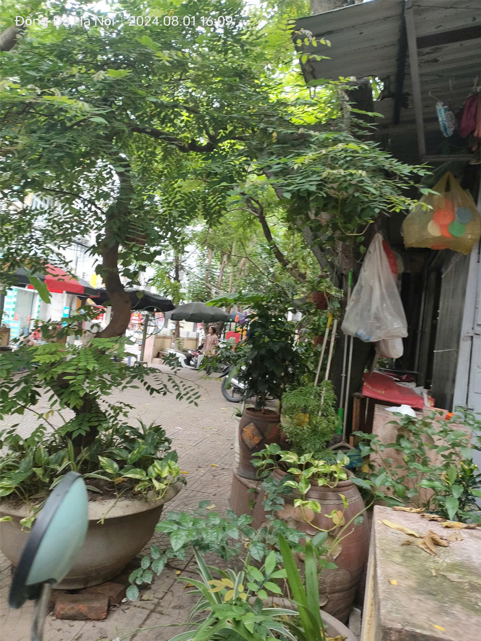 Nhà xưởng sắt hình, tôn lạnh 444m, mặt tiền 14m, 1.75 tỷ Hiệp Hòa, Bắc Giang. 3