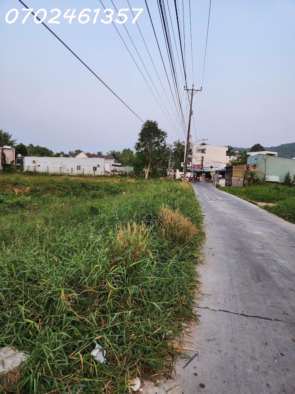 5400m² Đất Mặt Tiền Chùa Ông, Suối Đá – Phù Hợp Làm đầu tư 2