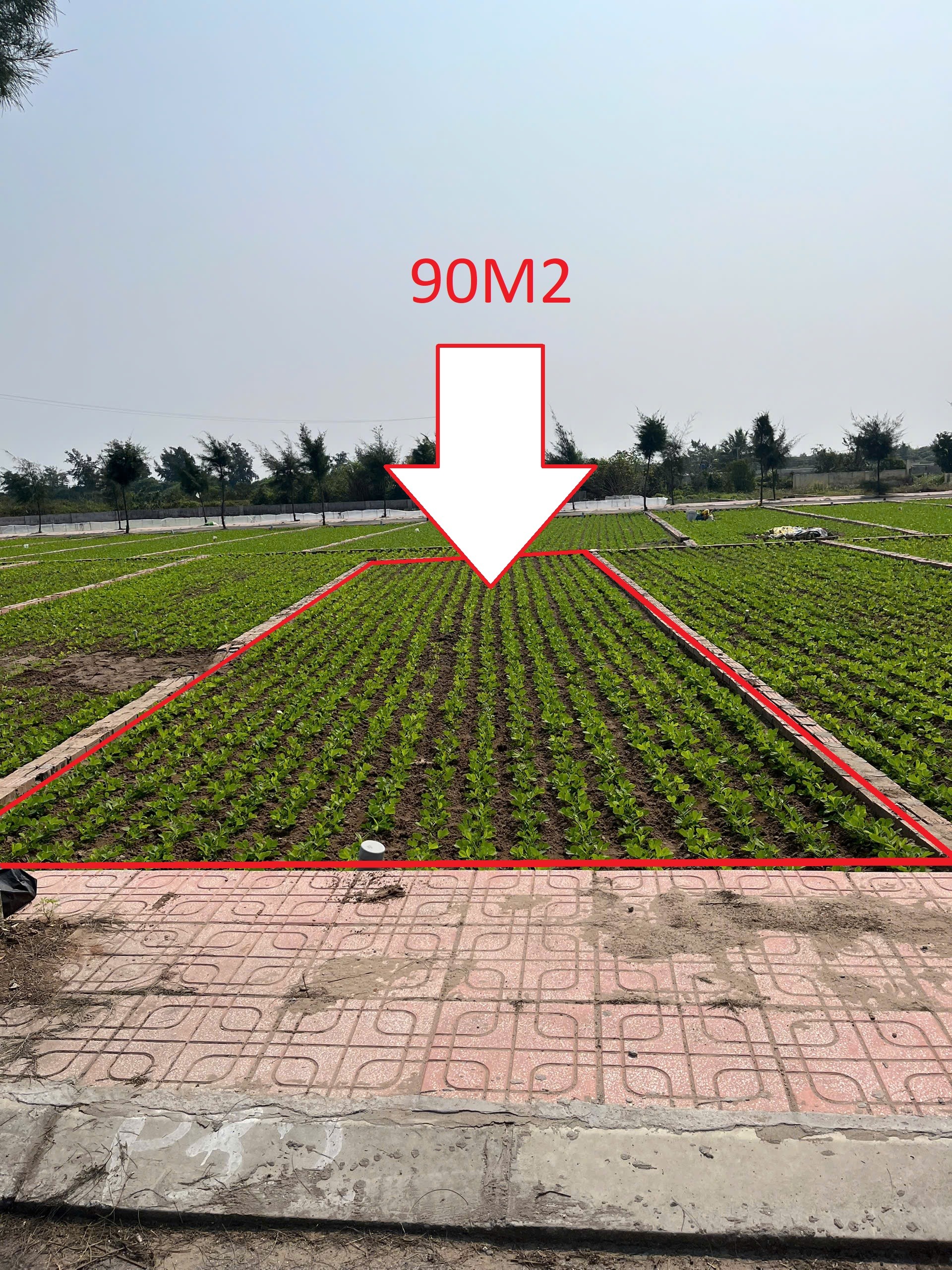 Cần bán Đất đường Quốc Lộ 37B, Xã Giao Phong, Diện tích 90m², Giá 2 Tỷ 2