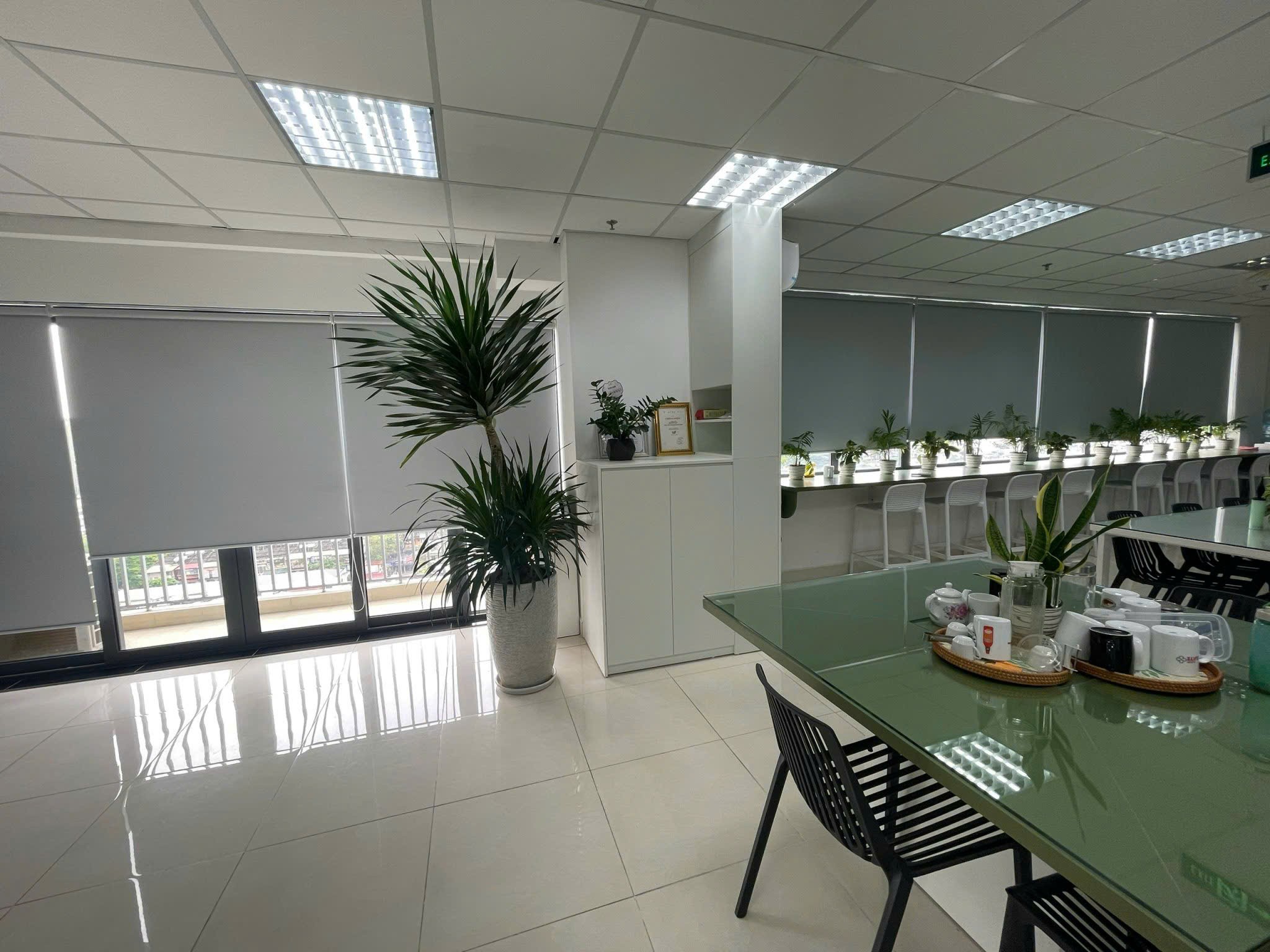Cho thuê Văn phòng đường Thành Công, Phường Thành Công, Diện tích 330m², Giá Thương lượng