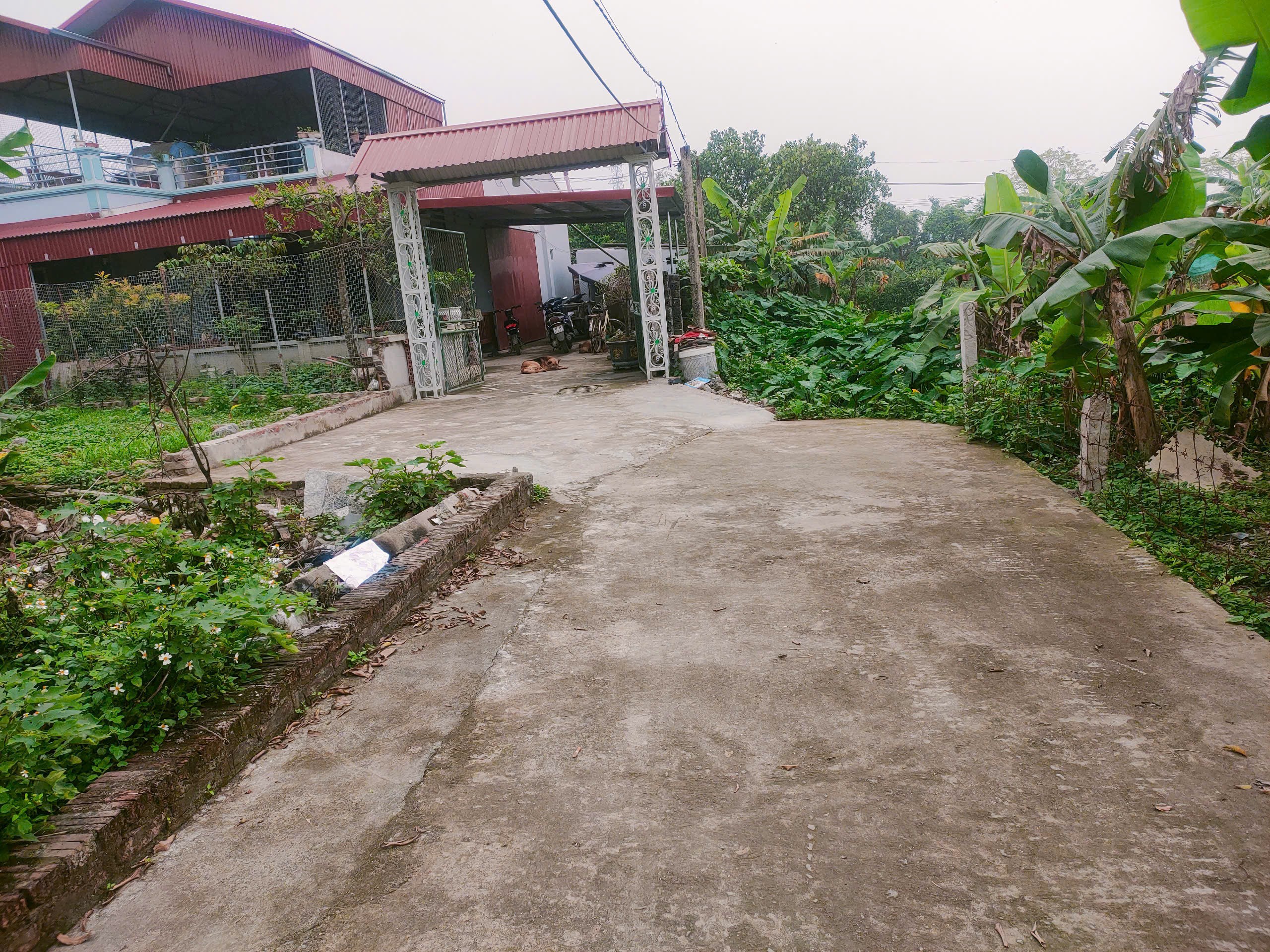 Cần bán gấp lô đất đường ô tô đỗ cửa, giá đầu tư tại thị trấn Kim Bài Thanh Oai 3