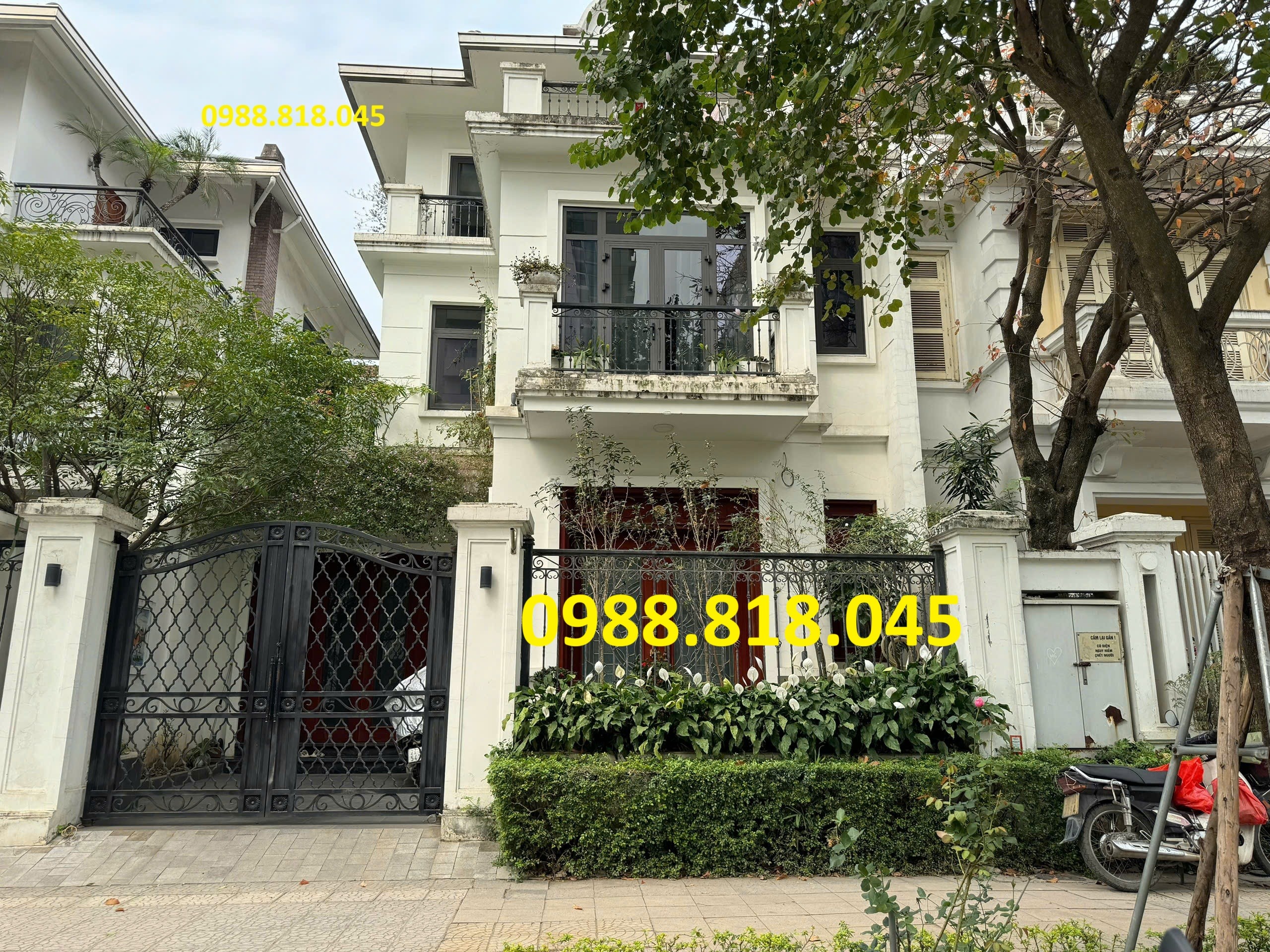 Chính chủ Bán gấp biệt thự Ciputra 198m2 mặt tiền 9m, 3.5 tầng, đường đôi rộng 30m, miễn TG 3