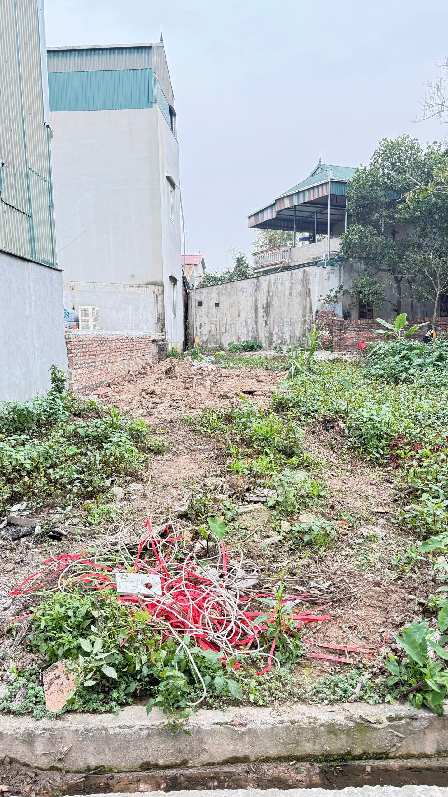 Chính chủ cần bán gấp lô đất thổ cư 58m² tại thôn Thiên Đông, xã Mỹ Hưng, huyện Thanh Oai 3