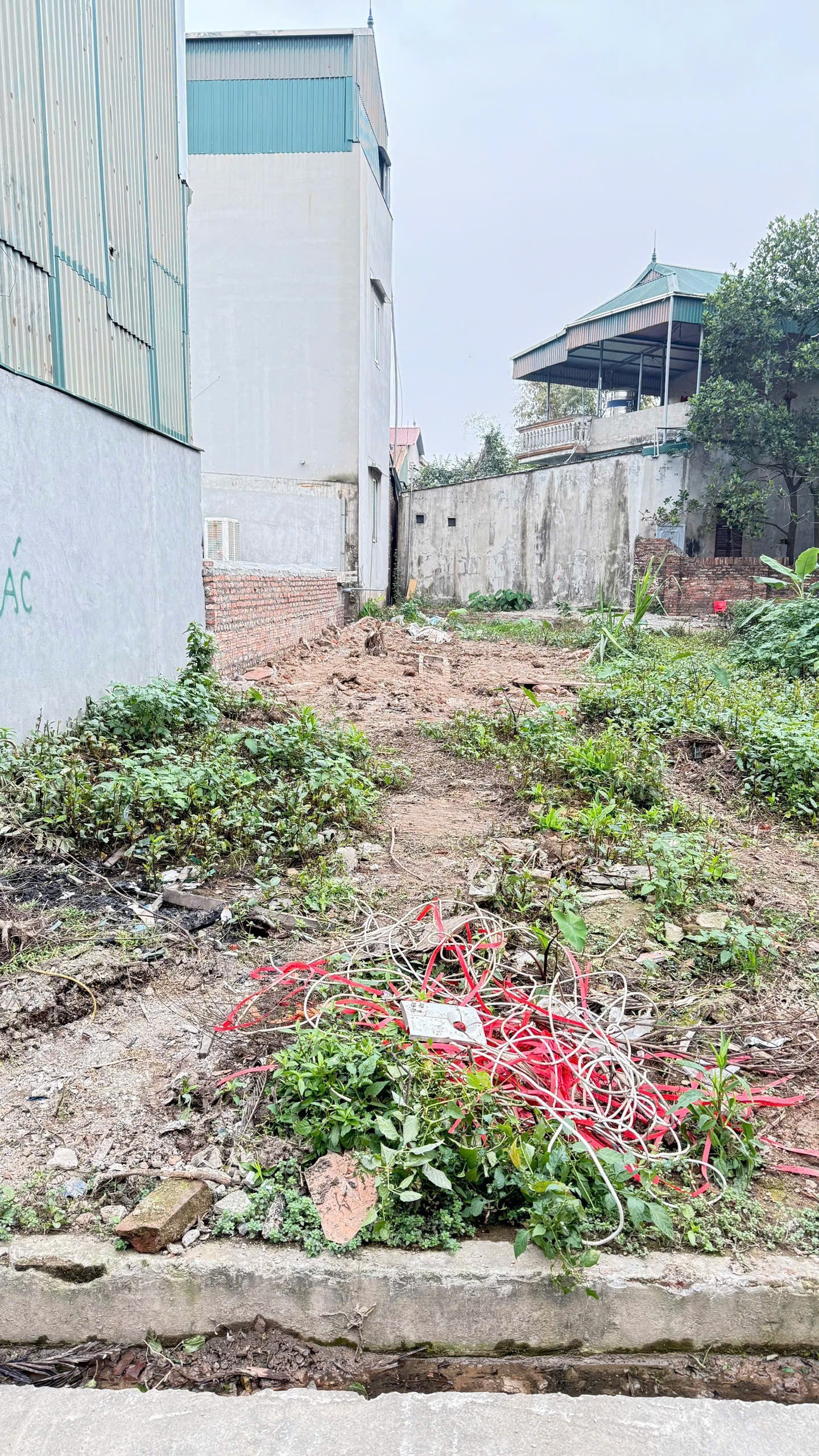 Chính chủ cần bán gấp lô đất thổ cư 58m² tại thôn Thiên Đông, xã Mỹ Hưng, huyện Thanh Oai 4