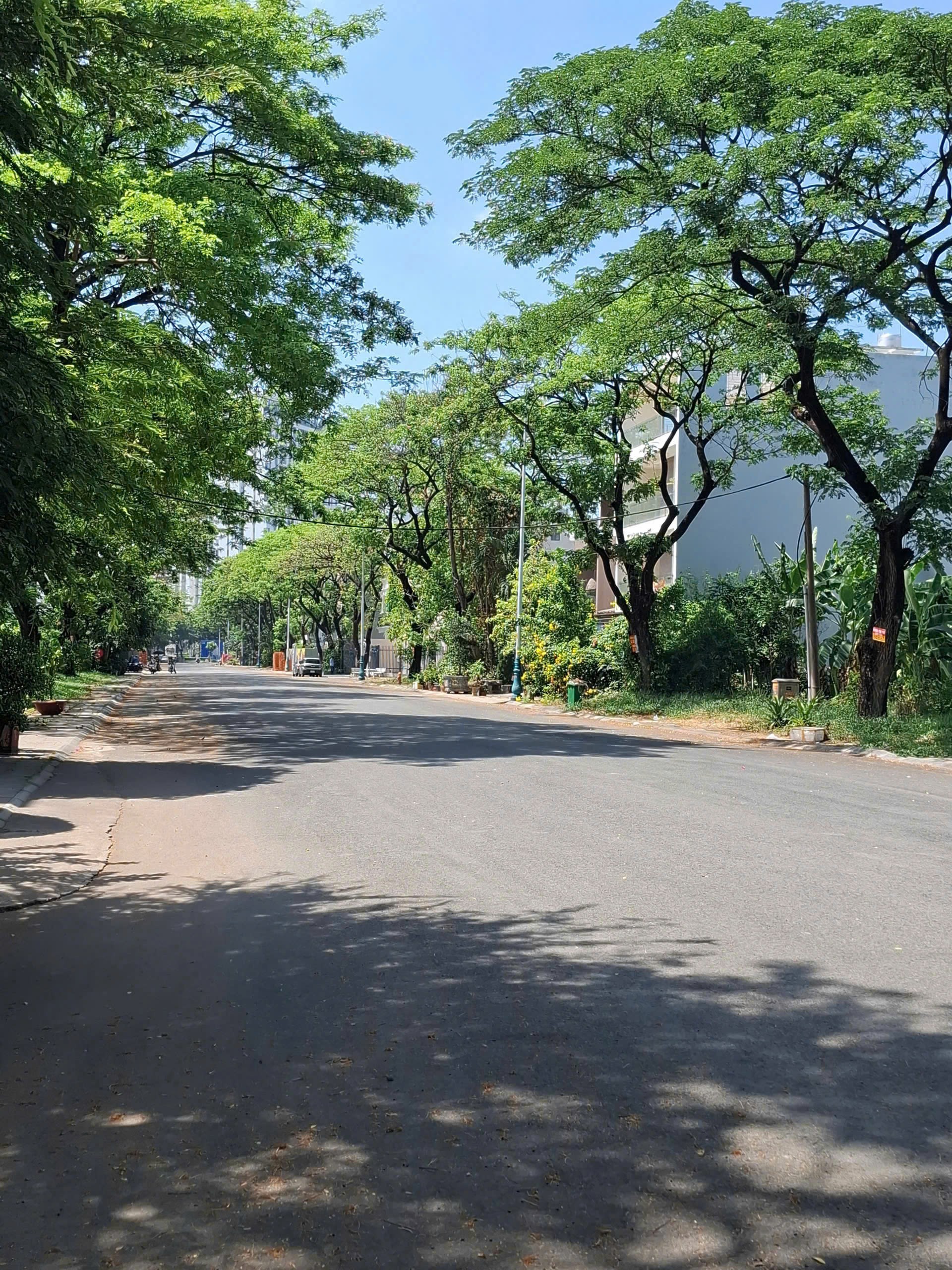 Cần bán Biệt thự Phường Thạnh Mỹ Lợi, Quận 2, Diện tích 176m², Giá 31.5 Tỷ 2