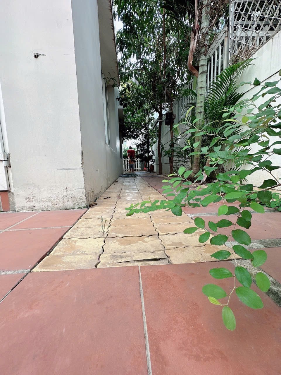 Cần bán Nhà mặt tiền Phường Phú Hữu, Quận 9, Diện tích 123m², Giá 013 Tỷ 4