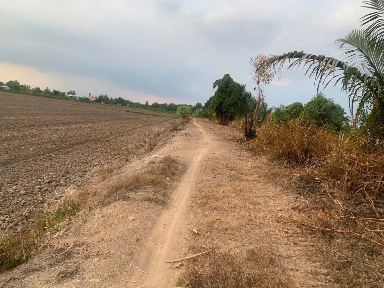 5585m2 đất vườn xã Lương Hòa, huyện Bến Lức giá 4,6 tỷ 2