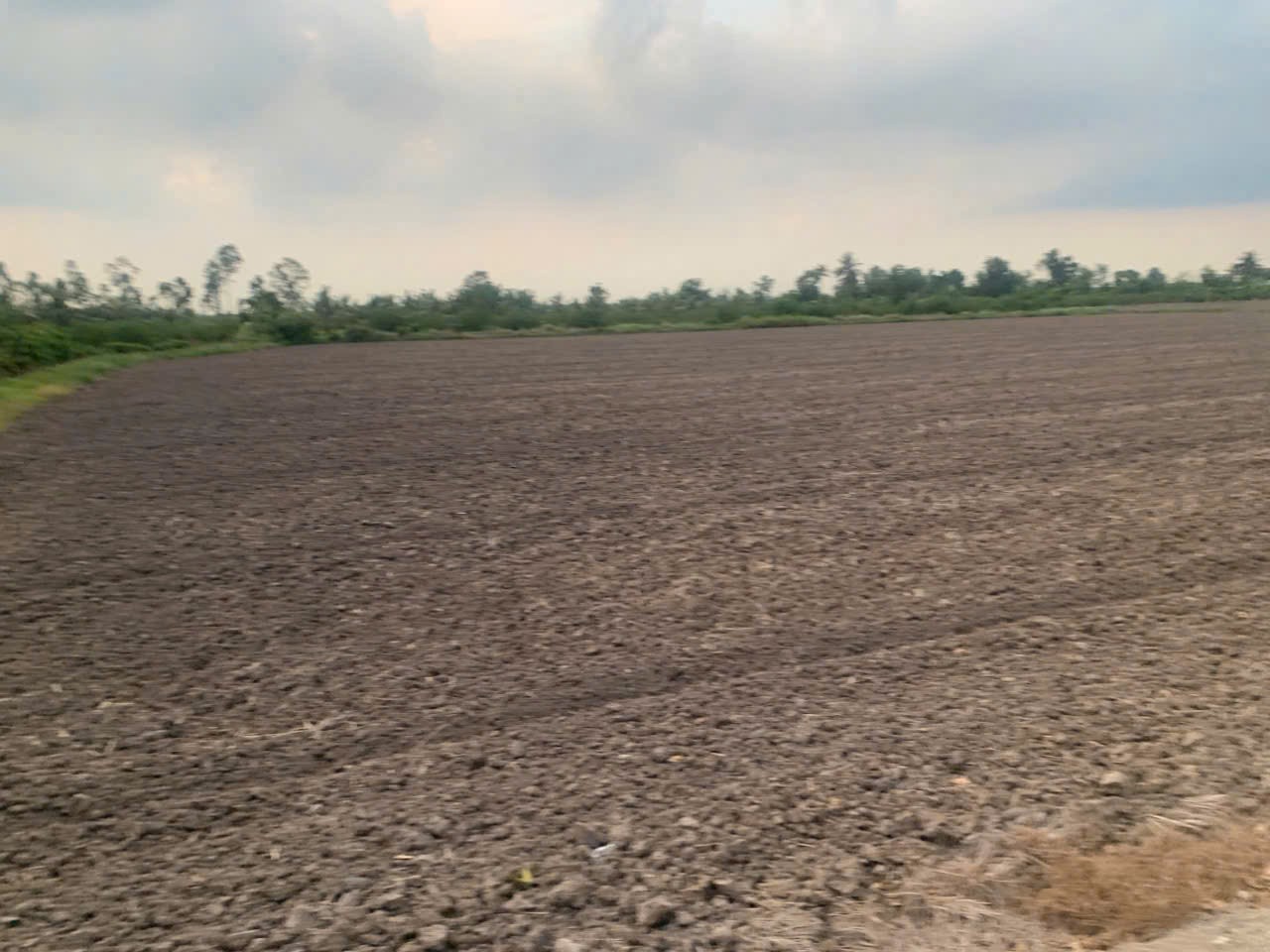5585m2 đất vườn xã Lương Hòa, huyện Bến Lức giá 4,6 tỷ 3