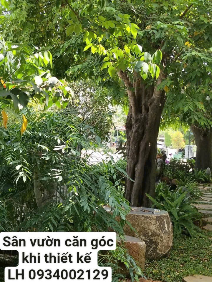 Cần bán Nhà mặt tiền Quận 9, Hồ Chí Minh, Diện tích 177m², Giá 10.7 Tỷ 7