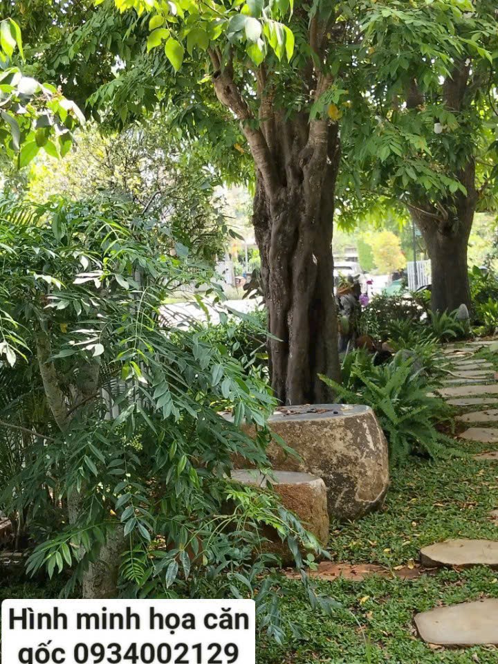 Cần bán Nhà mặt tiền Quận 9, Hồ Chí Minh, Diện tích 177m², Giá 10.7 Tỷ 3
