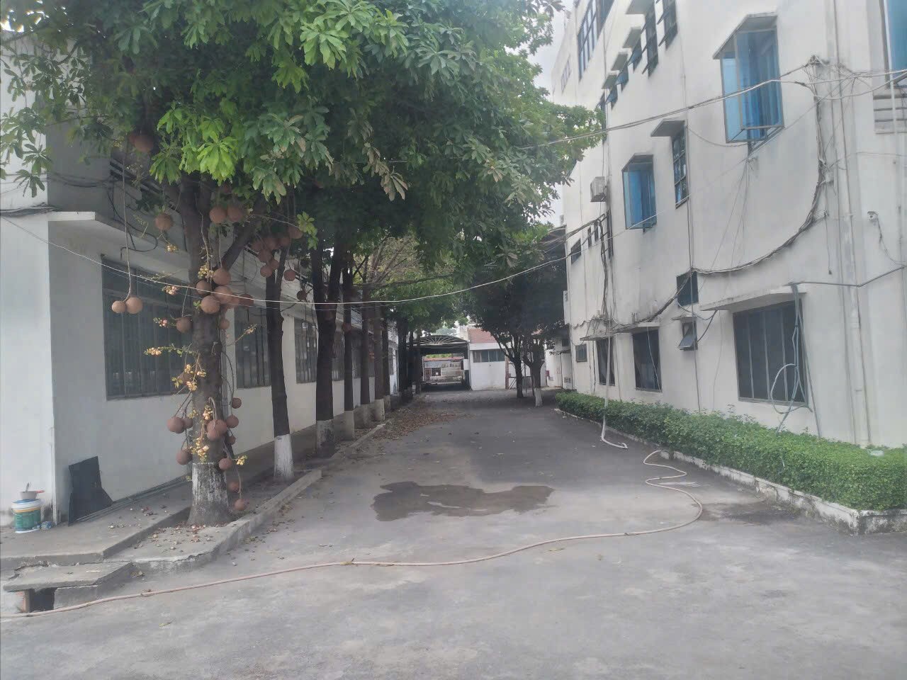 Cần bán Kho - Nhà xưởng Dĩ An, Bình Dương, Diện tích 20000m², Giá Thương lượng 2