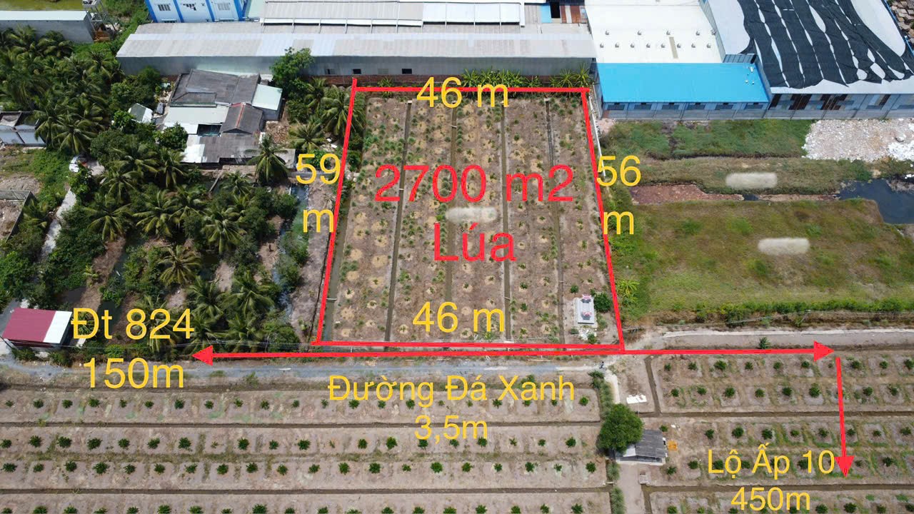 2700m2 đất lúa ấp 10, xã Lương Hòa, huyện Bến Lức giá 6,3 tỷ 4