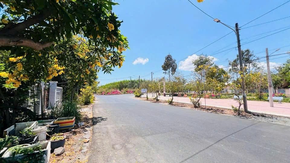 Cần bán Đất Thị trấn Phước Hải, Đất Đỏ, Diện tích 1200m², Giá Thương lượng 2