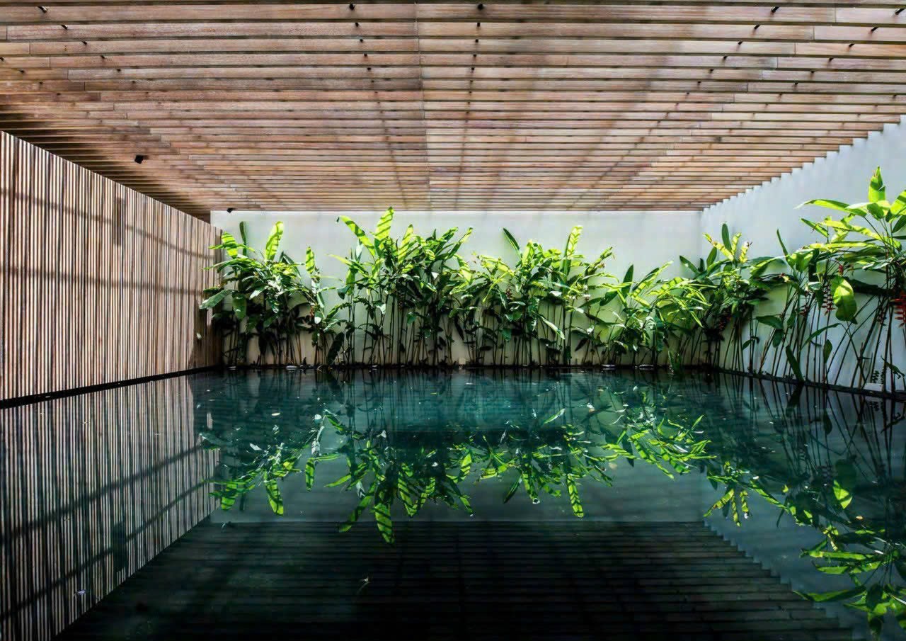 Cần bán Biệt thự Phường An Phú, Quận 2, Diện tích 240m², Giá 59 Tỷ 4