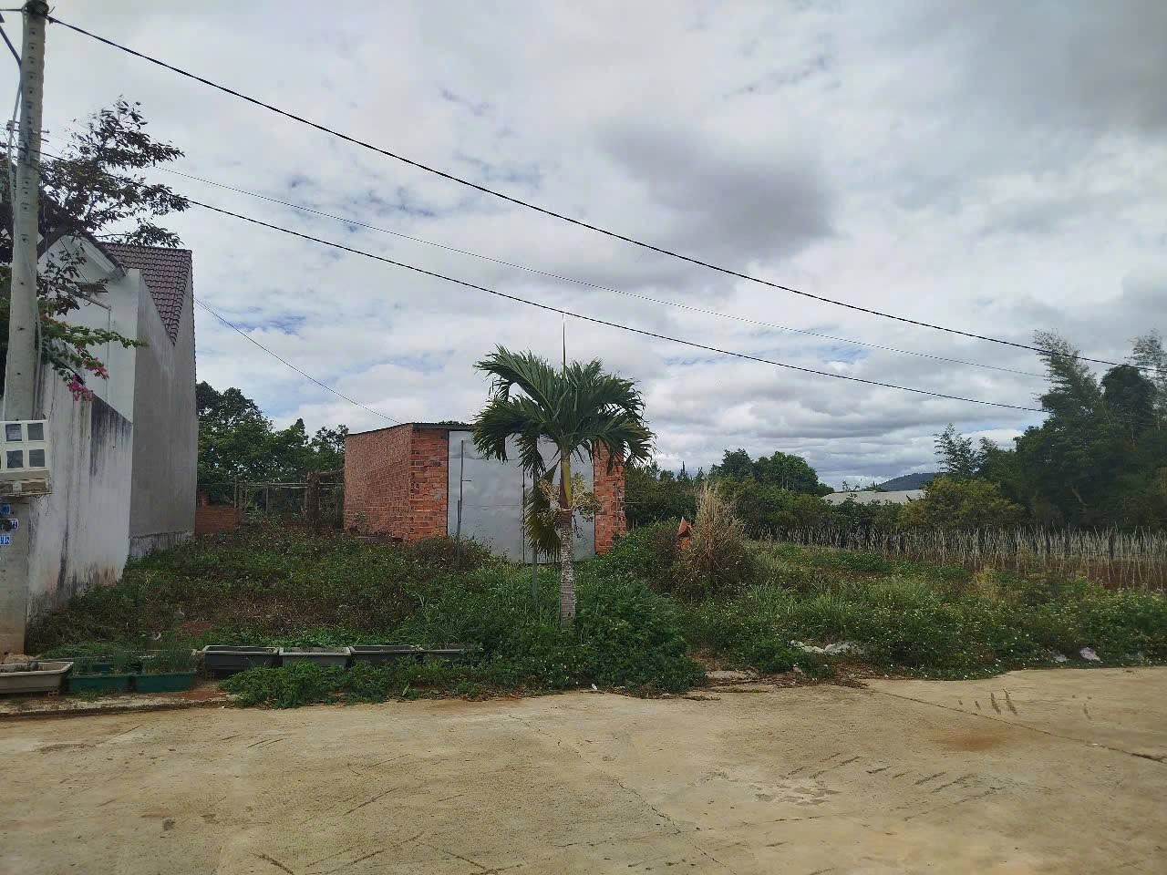 BÁN 115,7m2 Đất - XÃ HIỆP THẠNH - ĐỨC TRỌNG - LÂM ĐỒNG 2
