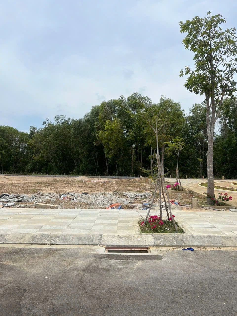 Cần bán Đất Đất Đỏ, Bà Rịa Vũng Tàu, Diện tích 195m², Giá 5.000.000 Triệu/m² 3
