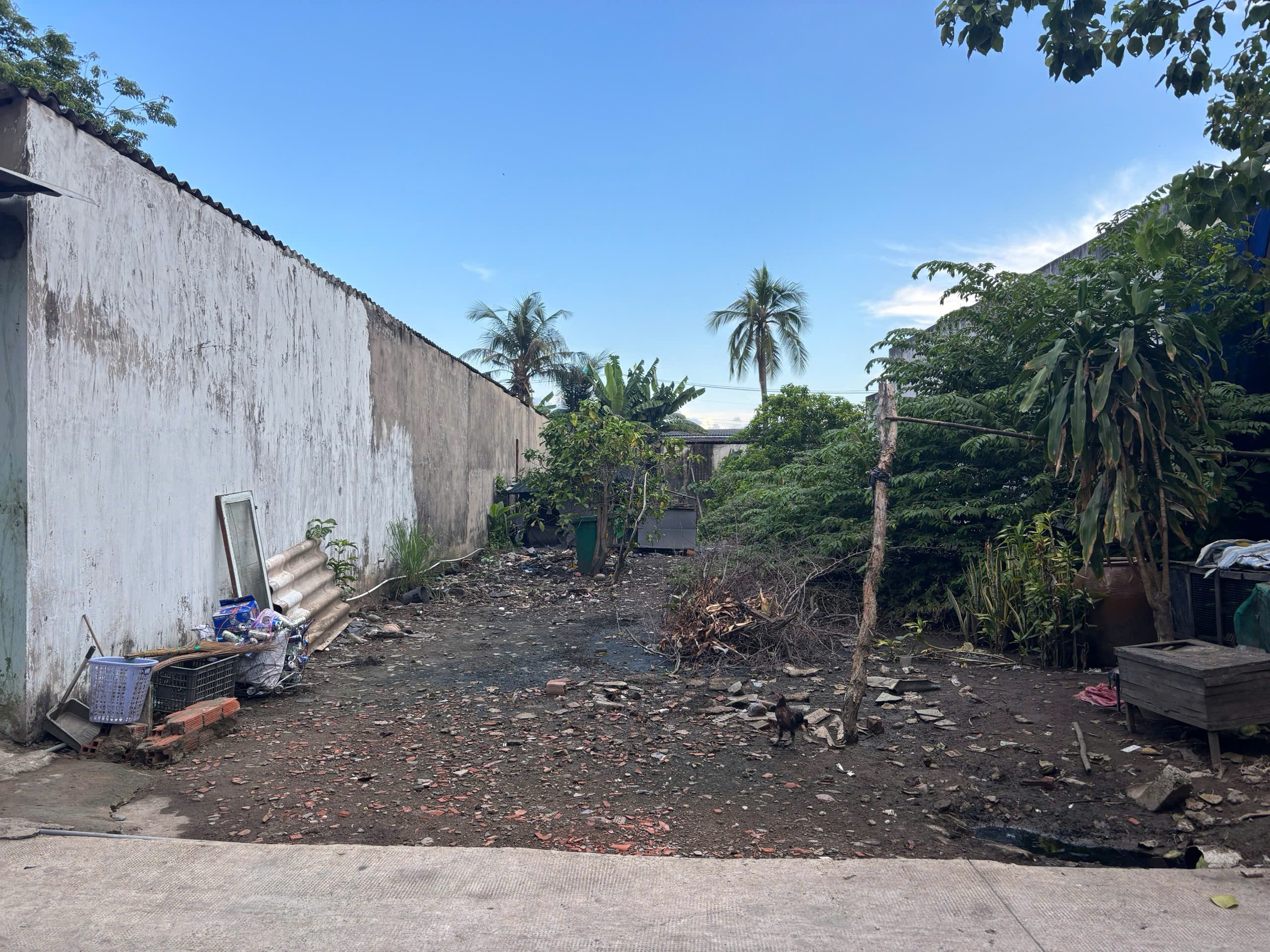 Cần bán Đất Xã Nhựt Chánh, Bến Lức, Diện tích 161m², Giá Thương lượng