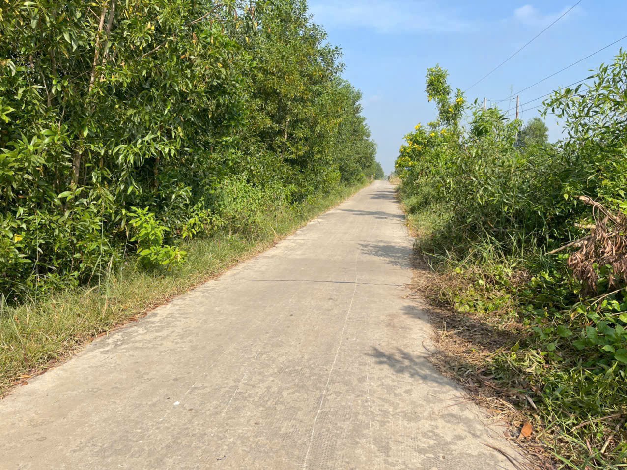 1000m2 đất vườn xã Tân Hòa, huyện Bến Lức giá 1 tỷ 3