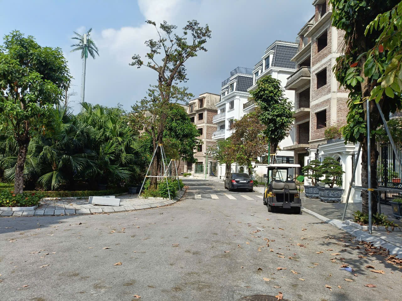 NV LIDECO 250m2- 5T, vị trí đẹp, không gian sáng tạo, 116 triệu/m 3