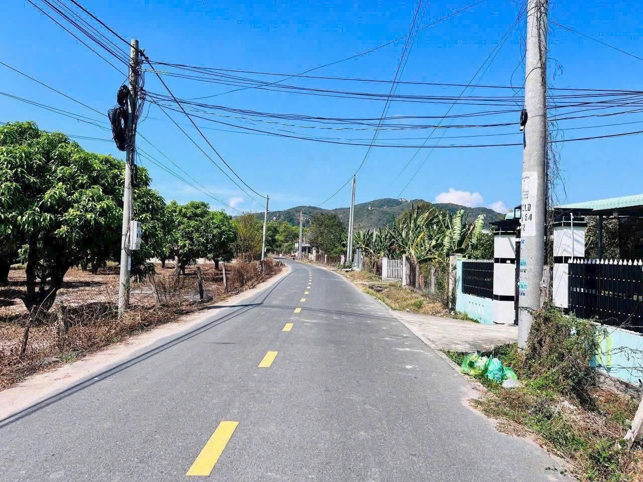 Cần bán Đất Đất Đỏ, Bà Rịa Vũng Tàu, Diện tích 535m², Giá 3.000.000 Triệu/m² 2