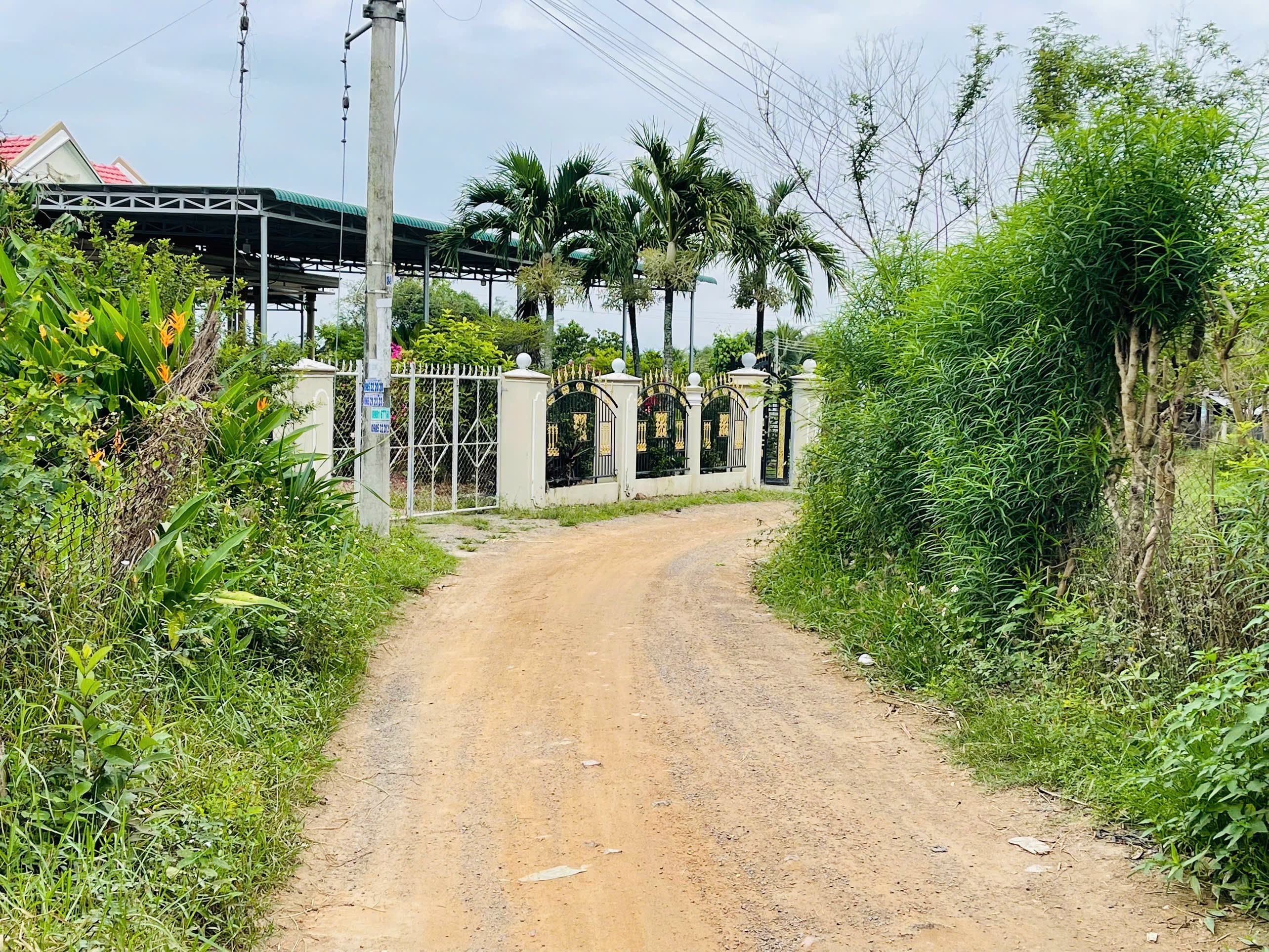 Cần bán Đất Xã Ninh Phụng, Ninh Hòa, Diện tích 92m², Giá 360 Triệu 2