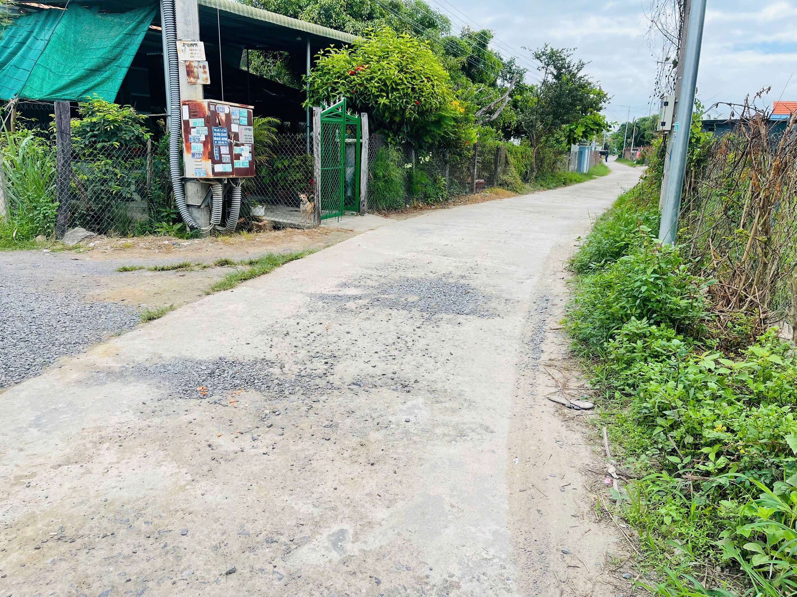 Cần bán Đất Xã Ninh Phụng, Ninh Hòa, Diện tích 92m², Giá 360 Triệu 3