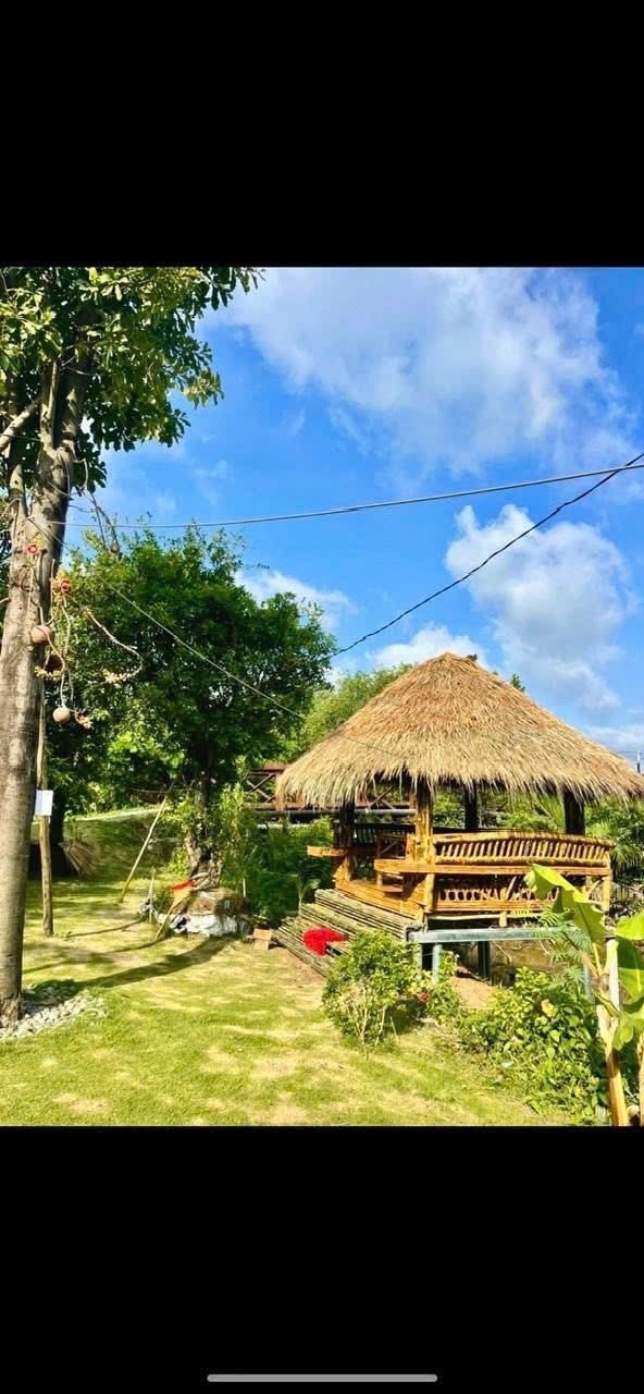 Cần bán Nhà mặt tiền Phường Phú Hữu, Quận 9, Diện tích 123m², Giá 12 Tỷ