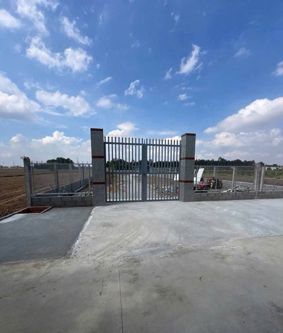 1240m2 đất lúa + thổ xã Thạnh Đức, Bến Lức giá 3 tỷ 4