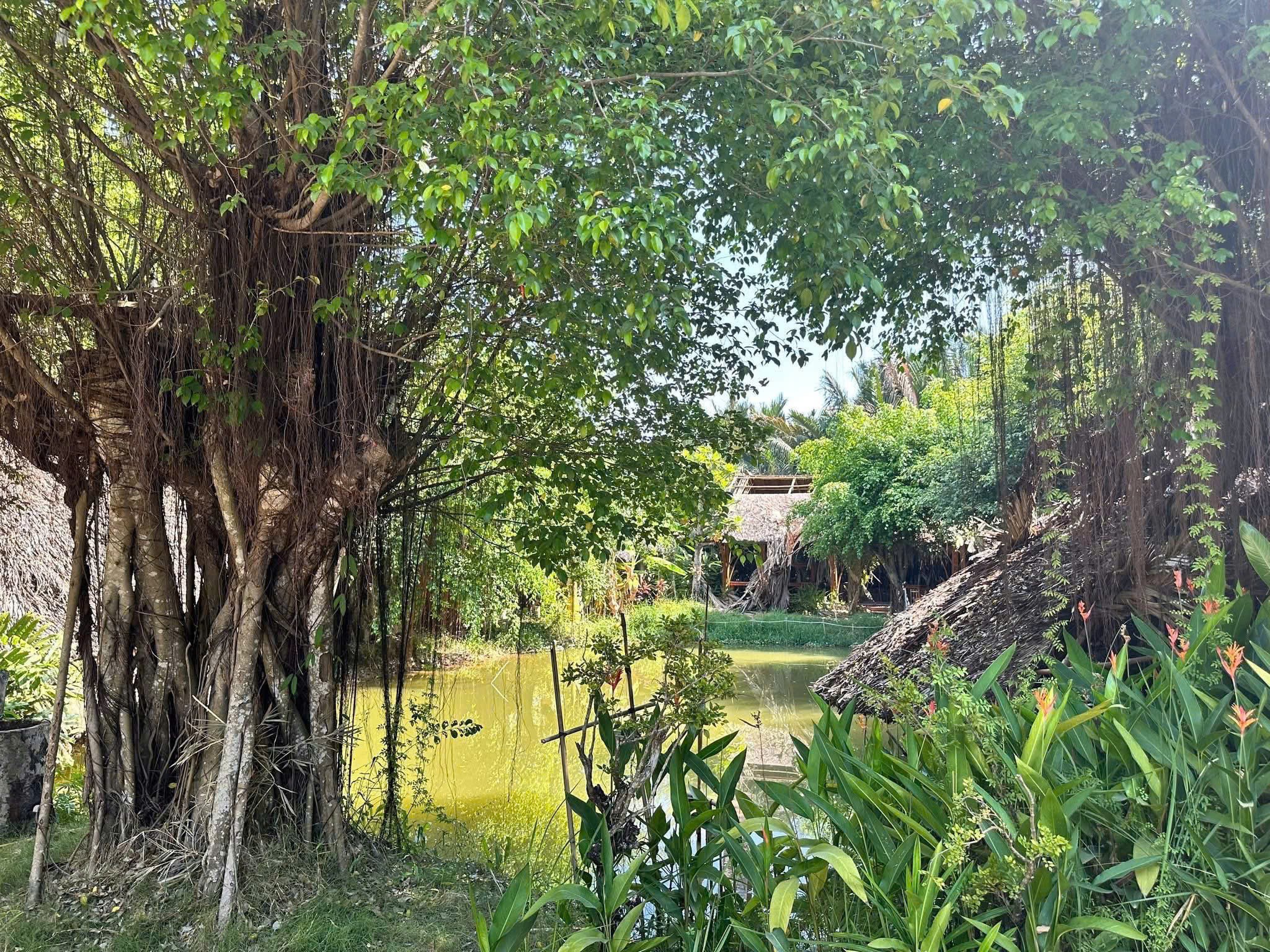 Cho thuê Đất Phường Long Trường, Quận 9, Diện tích 1300m², Giá Thương lượng 2