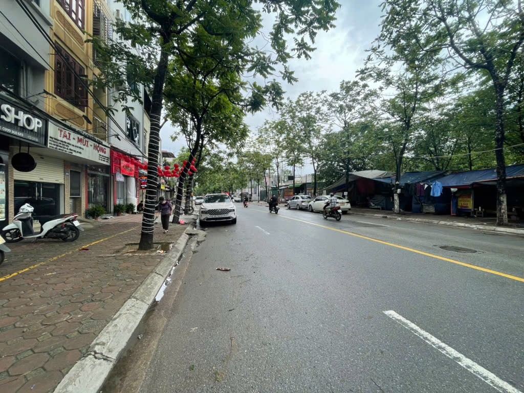 Cần bán Đất đường Dương Văn Bé, Phường Vĩnh Tuy, Diện tích 119m², Giá 13.5 Tỷ 4